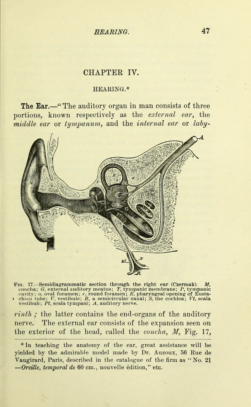 CHAPTER IV. HEARING* The Ear.—“ The auditory organ in man consists of three portions, known respectively as the external ear, the middle ear or tympanum, and the internal ear or laby- Fig. 17.—Semidiagrammatic section through the right ear (Czermak). M, concha; G, external auditory meatus; T, tympanic membrane; P, tympanic cavity; n, oval foramen; r, round foramen; R, pharyngeal opening of Eusta- i chian tube; V, vestibule; B, a semicircular canal; S, the cochlea; Ff, scala vestibuli; Ft, scala tympani; A, auditory nerve. rintli; the latter contains the end-organs of the auditory nerve. The external ear consists of the expansion seen on the exterior of the head, called the concha, M, Fig. 17, * In teaching the anatomy of the ear, great assistance will be yielded by the admirable model made by Dr. Auzoux, 56 Rue de Vaugirard, Paris, described in the catalogue of the firm as “No. 21 —Oreille, temporal de 60 cm., nouvelle edition,” etc.