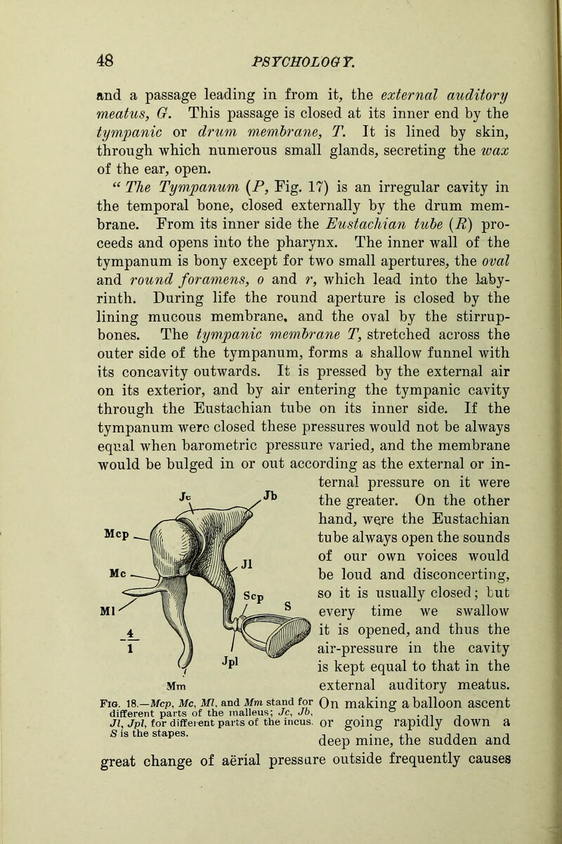 and a passage leading in from it, the external auditory meatus, G. This passage is closed at its inner end by the tympanic or drum membrane, T. It is lined by skin, through which numerous small glands, secreting the wax of the ear, open. “ The Tympanum (P, Fig. 17) is an irregular cavity in the temporal bone, closed externally by the drum mem- brane. From its inner side the Eustachian tube (R) pro- ceeds and opens into the pharynx. The inner wall of the tympanum is bony except for two small apertures, the oval and round foramens, o and r, which lead into the laby- rinth. During life the round aperture is closed by the lining mucous membrane, and the oval by the stirrup- bones. The tympanic membrane T, stretched across the outer side of the tympanum, forms a shallow funnel with its concavity outwards. It is pressed by the external air on its exterior, and by air entering the tympanic cavity through the Eustachian tube on its inner side. If the tympanum were closed these pressures would not be always equal when barometric pressure varied, and the membrane would be bulged in or out according as the external or in- ternal pressure on it were the greater. On the other hand, were the Eustachian tube always open the sounds of our own voices would be loud and disconcerting, so it is usually closed; but every time we swallow it is opened, and thus the air-pressure in the cavity is kept equal to that in the Mm external auditory meatus. Fig. is.—Mcp, Me, mi and Mm stand for Qn making a balloon ascent different parts of the malleus; Jc, Jb, . ° Jl, Jpl, for different parts of the incus, or going rapidly down a S is the stapes. , ,, , deep mine, the sudden and great change of aerial pressure outside frequently causes