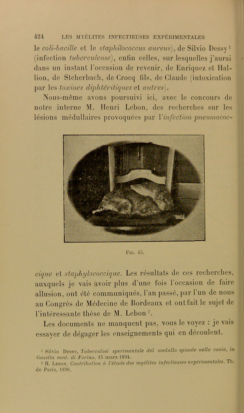 le coli-bacille et le staphilococcus aureus), de Silvio Dessy 1 2 (infection tuberculeuse), enfin celles, sur lesquelles j’aurai dans un instant l’occasion de revenir, de Enriquez et llal- lion, de Stcherbach, de Crocq fils, de Claude (intoxication par les toxines diphtéritiques et autres). Nous-même avons poursuivi ici, avec le concours de notre interne M. Henri Lebon, des recherches sur les lésions médullaires provoquées par l’infection ymeumococ- Fig. 45. cique et staphylococcique. Les résultats de ces recherches, auxquels je vais avoir plus d’une fois l’occasion de faire allusion, ont été communiqués, l’an passé, par l’un de nous au Congrès de Médecine de Bordeaux et ont fait le sujet de l’intéressante thèse de M. Lebon ~. Les documents ne manquent pas, vous le voyez : je vais essayer de dégager les enseignements qui en découlent. 1 Silvio Diîssy, Tuberculosi sperimenlale del medullo spinale nella cavia, iu Gazctta mal. di Fori.no, 15 mars 1894. 2 IL Leiion, Contribution à l'élude des myélites infectieuses expérimentales. Th. de Paris, 1896.