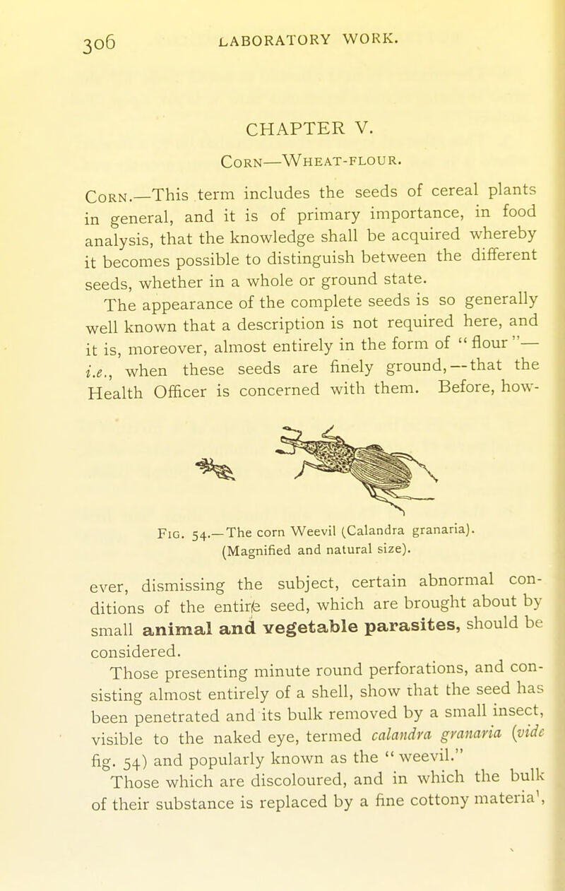 CHAPTER V. Corn—Wheat-flour. Corn.—This term includes the seeds of cereal plants in general, and it is of primary importance, in food analysis, that the knowledge shall be acquired whereby it becomes possible to distinguish between the different seeds, whether in a whole or ground state. The appearance of the complete seeds is so generally well known that a description is not required here, and it is, moreover, almost entirely in the form of  flour — i.e., when these seeds are finely ground, —that the Health Officer is concerned with them. Before, how- FiG. 54.—The corn Weevil (Calandra granaria). (Magnified and natural size). ever, dismissing the subject, certain abnormal con- ditions of the entirfe seed, which are brought about by small animal and vegetable parasites, should be considered. Those presenting minute round perforations, and con- sisting almost entirely of a shell, show rhat the seed has been penetrated and its bulk removed by a small insect, visible to the naked eye, termed calandra gmnaria {vide fig. 54) and popularly known as the  weevil. Those which are discoloured, and in which the bulk of their substance is replaced by a fine cottony materia',