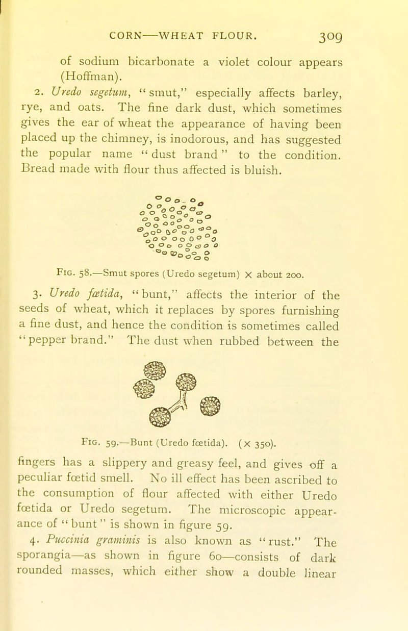 CORN WHEAT FLOUR. of sodium bicarbonate a violet colour appears (Hoffman). 2. Uredo segeUim, smut, especially affects barley, rye, and oats. The fine dark dust, which sometimes gives the ear of wheat the appearance of having been placed up the chimney, is inodorous, and has suggested the popular name  dust brand  to the condition. Bread made with flour thus affected is bluish. ^ °oO 00 0° ° °o 0° o o o a o o a> o o Fig. 58.—Smut spores (Uredo segetum) X about 200. 3. Uredo fcetida, bunt, affects the interior of the seeds of wheat, which it replaces by spores furnishing a fine dust, and hence the condition is sometimes called pepper brand. The dust when rubbed between the Fig. 59.—Bunt (Uredo fcEtida). (X350). fingers has a slippery and greasy feel, and gives off a peculiar fcetid smell. No ill effect has been ascribed to the consumption of flour affected with either Uredo fcetida or Uredo segetum. The microscopic appear- ance of  bunt  is shown in figure 59. 4. Piiccinia graminis is also known as  rust. The sporangia—as shown in figure 5o—consists of dark rounded masses, which either show a double linear