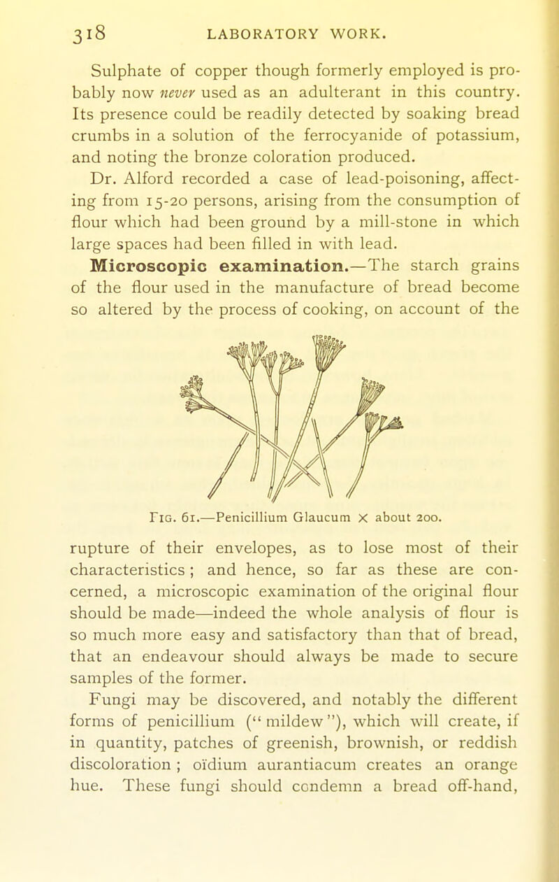 Sulphate of copper though formerly eniployed is pro- bably now never used as an adulterant in this country. Its presence could be readily detected by soaking bread crumbs in a solution of the ferrocyanide of potassium, and noting the bronze coloration produced. Dr. Alford recorded a case of lead-poisoning, affect- ing from 15-20 persons, arising from the consumption of flour which had been ground by a mill-stone in which large spaces had been filled in with lead. Microscopic examination.—The starch grains of the flour used in the manufacture of bread become so altered by the process of cooking, on account of the rupture of their envelopes, as to lose most of their characteristics; and hence, so far as these are con- cerned, a microscopic examination of the original flour should be made—indeed the whole analysis of flour is so much more easy and satisfactory than that of bread, that an endeavour should always be made to secure samples of the former. Fungi may be discovered, and notably the different forms of penicillium (mildew), which will create, if in quantity, patches of greenish, brownish, or reddish discoloration ; oidium aurantiacum creates an orange hue. These fungi should condemn a bread off-hand, Fig. 61.—Penicillium Glaucum x about 200.