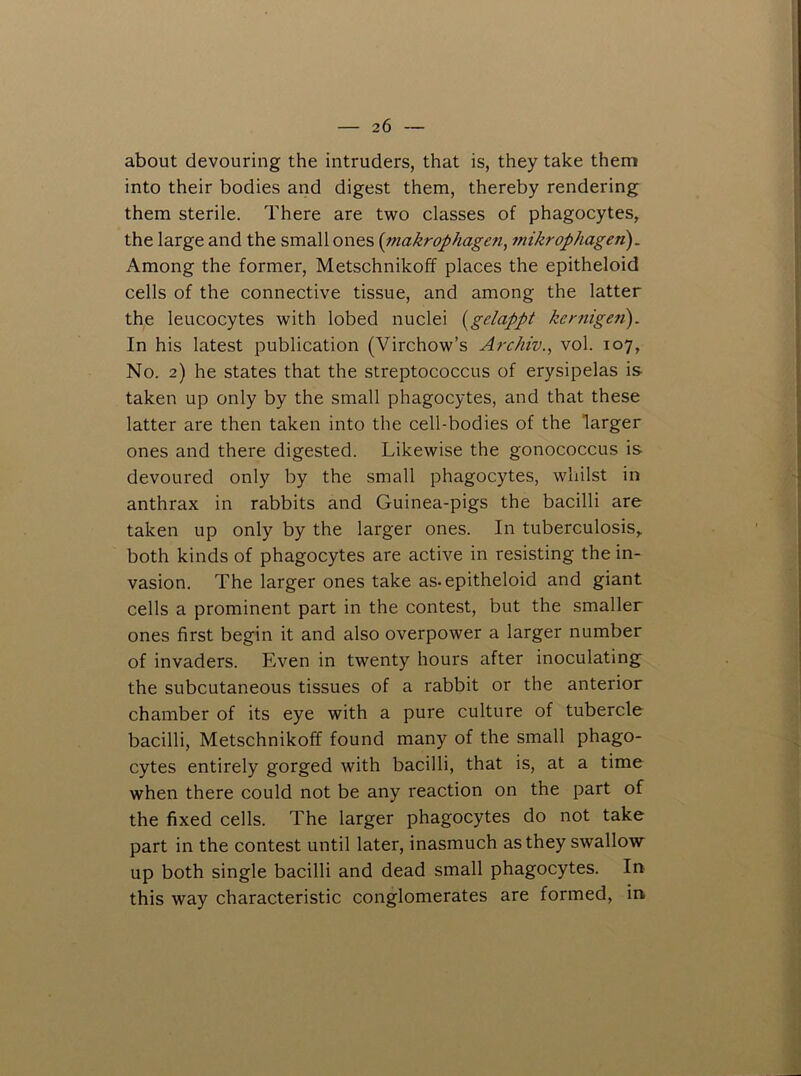 about devouring the intruders, that is, they take them into their bodies and digest them, thereby rendering them sterile. There are two classes of phagocytes, the large and the small ones {niakrophagen, mikrophagen). Among the former, Metschnikoff places the epitheloid cells of the connective tissue, and among the latter the leucocytes with lobed nuclei [gelappt kernigen). In his latest publication (Virchow’s Archiv., vol. 107, No. 2) he states that the streptococcus of erysipelas is- taken up only by the small phagocytes, and that these latter are then taken into the cell-bodies of the larger ones and there digested. Likewise the gonococcus is devoured only by the small phagocytes, whilst in anthrax in rabbits and Guinea-pigs the bacilli are taken up only by the larger ones. In tuberculosis, both kinds of phagocytes are active in resisting the in- vasion. The larger ones take as* epitheloid and giant cells a prominent part in the contest, but the smaller ones first begin it and also overpower a larger number of invaders. Even in twenty hours after inoculating the subcutaneous tissues of a rabbit or the anterior chamber of its eye with a pure culture of tubercle bacilli, Metschnikoff found many of the small phago- cytes entirely gorged with bacilli, that is, at a time when there could not be any reaction on the part of the fixed cells. The larger phagocytes do not take part in the contest until later, inasmuch as they swallow up both single bacilli and dead small phagocytes. In this way characteristic conglomerates are formed, in