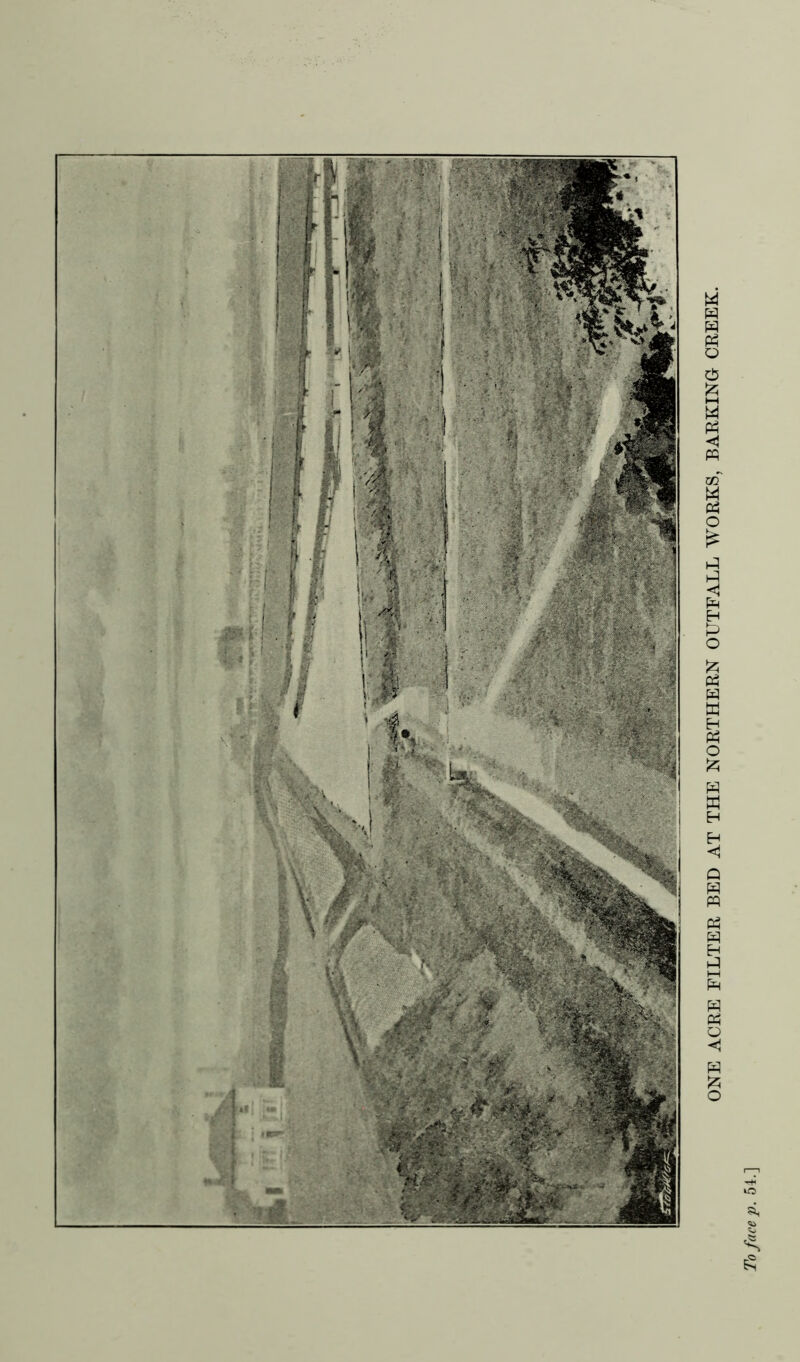 * i ONE ACRE FILTER BED AT THE NORTHERN OUTFALL WORKS, BARKING CREEK.