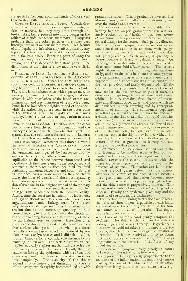 are specially frequent upon the hands of those who have to deal with wounds. Mode of Entry into the Body.—Usually they enter through a lesion, possibly quite minute, of skin or mucosa, but they may enter through un- broken skin, being pressed into and growing up the orifices of glands (sebaceous, mammary). It appears probable that, like other particles, they may pass through uninjured mucous membranes. In a wound of any depth, the infection may affect primarily any layer of the tissues affected, and this may suppurate while the rest heals. From the point of entry the organisms may be carried by the lymph- or blood- stream, and thus deposited in distant parts. The disturbance at the point of entry may be very slight or nil. Results of Local Infection by Staphylo- coccus AUREUS: Formation and Anatomy OF Acute Abscess.—When the cocci settle at a spot under conditions permitting their development, they begin to multiply and to excrete their irritants. The result is an inflammation which passes more or less rapidly through all the usual stages, dilatation of vessels with retardation of the blood-stream and margination and free migration of leucocytes being found in the immediate neighbourhood of the cocci, while the earlier stages are seen in the outer zone of the inflamed area. In highly cellular tissues (kidney, liver) a clear area of coagulation-necrosis often forms round the cocci ; but in connective tissue this is not evident. In either case the cocci pass outwards from the point of inoculation and the leucocytes press inwards towards this point. It appears that the substances formed by the bacteria exert an attractive influence (positive chemotaxis) upon the leucocytes, which are thus drawn towards the seat of infection [see Chemotaxis). Soon cocci and leucocytes become mixed up ; many of the organisms are ingested by leucocytes and by swollen fixed cells, others remain free. The capillaries at the centre become thrombosed and together with the tissue-elements are peptonised and removed ; their place is then occupied by fluid containing numerous leucocytes and cocci. So long as free cocci pass outwards—which they do chiefly along the lines of vessels and their accompanying lympliatics—spread of the inflammation and forma- tion of fresh foci in the neighbourhood of the primary lesion continue. These secondary foci, as they enlarge, usually coalesce with the primaiy cavity. After a time the cocci are hemmed in by leucocytes, and granulation-tissue forms in which no micro- organisms are found. Enlargement of the abscess may, however, still go on under the influence of tension due to the increasing quantity of fluid poured into it, to interference with the circulation in the surrounding tissues, and to softening of these by the inflammatory exudation. Extension takes place in the direction of least resistance—towards a free surface when possible—but when pus forms beneath a dense fascia, which is traversed by few blood-vessels or lymphatics and is difficult to soften, it often burrows for a considerable distance before reaching the surface. The term ' least resistance' implies not only slighter mechanical obstacles but also facility of passage for cocci. Finally the fluid exudation lifts up the epidermis, which softens and gives way, and the abscess empties itself more or less completely. The elast'city of the tissues around at once causes great diminution of the size of the cavity, which rapidly becomes filled up with granulation-tissue. This is gradually converted into fibrous tissue ; and finally the epidermis grows over the surface and covers it. Characters of Pus.—The pus yielded by a healthy but not aseptic granulation-tissue was for- merly spoken of as ' healthy' pus—pus bonutn it laiidabile. Its appearance indicated a local or general change for the better. Such pus is yellowish- white in colour, opaque, creamy in consistence, and neutral or alkaline in reaction, with sp. gr. 1030-I040. It has a faint sickly odour and does nut putrefy readily. With an equal quantity of liquor potassa: it forms a gelatinous mass. On standing it separates into a deep sediment and a clear supernatant fluid [liqitoi- puris). The latter is highly albuminous, does not coagulate spontane- ously, and contains salts in about the same propor- tion as plasma, along with a certain quantity of peptones. The deposit consists of leucocytes, for the most part dead and fattily degenerated, with the addition of a varying number of red corpuscles which may render the pus sanious or give it merely a saflron or orange tinge from the presence of haema- toidin. It also contains fine shreds of tissue, fatty and albuminous particles, and cocci, which are distinguished by their grouping and by appropriate methods of staining. The commonest departure from this type is that the pus becomes thin and acid, irritating to the tissues, and liable to rapid putrefac- tion {ichor). It sometimes has a very oflensive odour, especially when the abscess has formed near the alimentary tract or vagina, owing to the presence of the Bacillus coli; but ortensive pus in other situations, e.g. in the thigh, may be met with, and is then due to the action of the Bacillus pyogenes foetidus. Bluish or greenish pus is veiy rare and is due to the Bacillus pyocyaneus. Symptoms.—A fairlv circumscribed area of the skin is found to be swollen, more or less red, hot, painful and tender ; and these signs are all most marked towards the centre. Pressure with tlie finger tip or nail produces pitting owing to the presence of oedema. Fluctuation can be obtained by the method given below. As the abscess advances the centre of the aftected area becomes more prominent, and fluctuation becomes more distinct : the red colour deepens into purple or blue, and the skin becomes progie^sivuly thinner. This sequence of events is known as the ' pointing ' of an abscess. P'inally the epidermis gives way and the contents of the abscess are discharged. The method of obtaining fluctuation is as follows: the pulps of three fingers, if possible of each hand, are placed upon the swelling and kept as far fiom each other as the size of it permits. The fingers of one hand remain resting lightly on the surface, while those of the other hand gently compress the swelling. The fluid is thus driven beneath the resting fingers and raises them up. Experience is necessary to avoid mistakes : if the fingers are too close together, fat or oedema may give a sensation of fluctuation. It is never advisable to ti7 to obtain fluctuation across a muscular belly, but alwa\s longitudinally in the direction of the fibres of any underlying muscle. Constitutional symptoms vary greatly in nature and severity. Pyrexia varying from 100° to I04°F. is usually present, being generally proportionate to the acuteness of the inflammation, the amount of tension existing, the size of the abscess and its situation, absorption being more free from some parts, e.g.