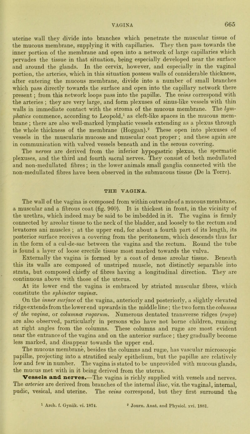 uterine Avail they divide into branches which penetrate the muscular tissue of the mucous membrane, supplying it with capillaries. They then pass towards the inner portion of the membrane and open into a network of large capillaries which pervades the tissue in that situation, being especially developed near the surface and around the glands. In the cervix, however, and especially in the vaginal portion, the arteries, which in this situation possess walls of considerable thiclmess, after entering the mucous membrane, divide into a number of small branches which pass directly towards the surface and open into the capillary network there present; from this network loops pass into the papillae. The veins correspond with the arteries ; they are very large, and form plexuses of sinus-like vessels with thin walls in immediate contact with the stroma of the mucous membrane. The lym- phatics commence, according to Leopold,^ as cleft-like spaces in the mucous mem- brane ; there are also well-marked lymphatic vessels extending as a plexus through the AAdiole thickness of the membrane (Hoggan).^ These open into plexuses of vessels in the muscularis mucosae and muscular coat proper ; and these again are in communication with valved vessels beneath and in the serous covering. The nerves are derived from the inferior hypogastric plexus, the spermatic plexuses, and the third and fourth sacral nerves. They consist of both medullated and non-medullated fibres; in the lower animals small ganglia connected with the non-medullated fibres have been observed in the submucous tissue (De la Torre). THE VAGINA. The wall of the vagina is composed from within outwards of a mucous membrane, a muscular and a fibrous coat (fig. 960). It is thickest in front, in the vicinity of the urethra, which indeed may be said to be imbedded in it. The vagina is firmly connected by areolar tissue to the neck of the bladder, and loosely to the rectum and levatores ani muscles ; at the upper end, for about a fourth part of its length, its posterior surface receives a covering from the peritoneum, which descends thus far in the form of a cul-de-sac between the vagina and the rectum. Round the tube is found a layer of loose erectile tissue most marked towards the Arulva. Externally the vagina is formed by a coat of dense areolar tissue. Beneath this its walls are composed of unstriped muscle, not distinctly separable into strata, but composed chiefly of fibres having a longitudinal direction. They are continuous above with those of the uterus. At its lower end the vagina is embraced by striated muscular fibres, which constitute the sphincter vagincB. On the inner surface of the vagina, anteriorly and posteriorly, a slightly elevated ridge extends from the lower end upwards in the middle line; the tAvo form the columns of the vagina, or columnce rugarum. Numerous dentated transverse ridges {rugce) are also observed, particularly in persons who have not borne children, running at right angles from the columns. These columns and rugae are most evident near the entrance of the vagina and on the anterior surface ; they gradually become less marked, and disappear towards the upper end. The mucous membrane, besides the columns and rugae, has vascular microscopic papillae, projecting into a stratified scaly epithelium, but the papillae are rclatiAT-ely low and few in number. The vagina is stated to be unprovided Avith mucous glands, the mucus met with in it being derived from the uterus. Vessels and nerves.—The vagina is richly supplied Avith vessels and nerves. The arteries are derived from branches of the internal iliac, viz. the vaginal, internal, pudic, vesical, and uterine. The veins correspond, but they first surround the ^ Arch. f. Gynak. vi. 1874. ^ Journ. Anat. and Physiol, xvi. 1881.