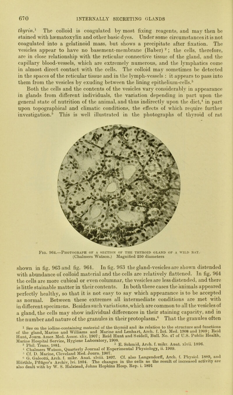 iliyrin} The colloid is coagulated by most fixing reagents, and may then be stained with hsematoxylin and other basic dyes. Under some circumstances it is not coagulated into a gelatinoid mass, but shows a precipitate after fixation. The vesicles appear to have no basement-membrane (Baber) ; the cells, therefore, are in close relationship with the reticular connective tissue of the gland, and the capillary blood-vessels, which are extremely numerous, and the lymphatics come in almost direct contact with the cells. The colloid may sometimes be detected in the spaces of the reticular tissue and in the lymph-vessels : it appears to pass into them from the vesicles by exuding between the lining epithelium-cells. Both the cells and the contents of the vesicles vary considerably in appearance in glands from different individuals, the variation depending in part upon the general state of nutrition of the animal, and thus indirectly upon the diet,^ in part upon topographical and climatic conditions, the effects of which require further investigation.'^ This is well illustrated in the photographs of thyroid of rat Fig. 964.—Photograph of a section of the thyroid gland of a avild rat. (Chalmers Watson.) Magnified 250 diameters shown in fig. 963 and fig. 964. In fig. 963 the gland-vesicles are shown distended with abundance of colloid material and the cells are relatively flattened. In fig. 964 the cells are more cubical or even columnar, the vesicles are less distended, and there is little stainable matter in their contents. In both these cases the animals appeared perfectly healthv, so that it is not easy to say which appearance is to be accepted as normal. Between these extremes all intermediate conditions are met with in different specimens. Besides such variations,which are common to all the vesicles of a gland, the cells may show individual differences in their staining capacity, and in the number and nature of the granules in their protoplasm.*’ That the granules often 1 See on the iodine-containing material of the thyroid and its relation to the structure and functions of the gland, Marine and Williams and Marine and Lenhart, Arch. f. Int. Med. 1908 and 1909; Reid Hunt, Journ. Amer. Med. Assoc, xlix. 1907 ; Reid Hunt and Seidell, Bull. No. 47 of U.S. Public Health, Marine Hospital Service, Hygiene Laboratory, 1908. ^ Phil. Trans. 1881. ^ E. Schmid, Arch. f. mikr. Anat. xlvii. 1896. ' Chalmers Watson, Quarterly Journal of Experimental Physiology, ii. 1909. ’ Cf. D. Marine, Cleveland Med. Journ. 1907. G. Galeotti, Arch. f. mikr. Anat. xlviii. 1897. Cf. also Langendorff, Arch. f. Physiol. 1889, and Hiirthle, PflUger’s Archiv, Ivi. 1894. The changes in the cells as the result of increased activity are also dealt with by W. S. Halstead, Johns Hopkins Hosp. Rep. i. 1891