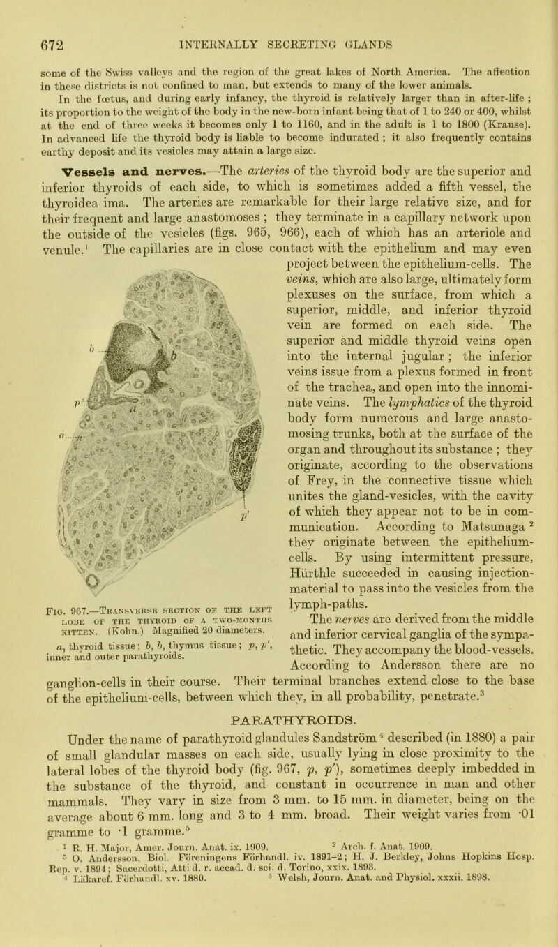 some of the Swiss valleys and the region of the great lakes of North America. The affection in these districts is not confined to man, but extends to many of the lower animals. In the foetus, and during early infancy, the thyroid is relatively larger than in after-life ; its proportion to the weight of the body in the new-born infant being that of 1 to 240 or 400, whilst at the end of three weeks it becomes only 1 to 1160, and in the adult is 1 to 1800 (Krause). In advanced life the thyroid body is liable to become indurated ; it also frequently contains earthy deposit and its vesicles may attain a large size. c, fi V ■ ■ m.- ::v ^ :W H'o-r) j',, b .. ■rti,*!; ft «• . 6 ' - - Q ■ ‘■'I' 9^''' Vessels and nerves.—The arteries of the thyroid body are the superior and inferior thyroids of each side, to which is sometimes added a fifth vessel, the thyroidea ima. The arteries are remarkable for their large relative size, and for their frequent and large anastomoses ; they terminate in a capillary network upon the outside of the vesicles (figs. 965, 966), each of which has an arteriole and venule.' The capillaries are in close contact with the epithelium and may even project between the epithelium-cells. The veins, which are also large, ultimately form plexuses on the surface, from which a superior, middle, and inferior thyroid vein are formed on each side. The superior and middle thyroid veins open into the internal jugular ; the inferior veins issue from a plexus formed in front of the trachea, and open into the innomi- nate veins. The lymphatics of the thyroid body form numerous and large anasto- mosing trunks, both at the surface of the organ and throughout its substance ; they originate, according to the observations of Frev, in the connective tissue which unites the gland-vesicles, with the cavity of which they appear not to be in com- munication. According to Matsunaga ^ they originate between the epithelium- cells. By using intermittent pressure, Hurthle succeeded in causing injection- material to pass into the vesicles from the lymph-paths. The nerves are derived from the middle and inferior cervical ganglia of the sympa- thetic. They accompany the blood-vessels. According to Andersson there are no ganglion-cells in their course. Their terminal branches extend close to the base of the epithelium-cells, between which they, in all probability, penetrate.^ Fig. 967.—Tbansvebse section of the left LOBE OF THE THYBOID OF A TWO-MONTHS KITTEN. (Kolin.) Magnified 20 diameters. a, thyroid tissue; h, h, thymus tissue; p, i>', inner and outer parathyroids. PARATHYROIDS. Under the name of parathyroid glandules Sandstrom** described (in 1880) a pair of small glandular masses on each side, usually lying in close proximity to the lateral lobes of the thyroid body (fig. 967, p, p'), sometimes deeply imbedded in the substance of the thyroid, and constant in occurrence in man and other mammals. They vary in size from 3 mm. to 15 mm. in diameter, being on the average about 6 mm. long and 3 to 4 mm. broad. Their weight varies from ’01 gramme to -1 gramme.''’ ^ R. H. Major, Amer. Journ. Aiiat. ix. 1909. - Arch. f. Anat. 1909. ■ O. Andersson, Biol. Foreningens Fiirhandl. iv. 1891-2; H. J. Berkley, Johns Hopkins Hosp. Rep. v. 1894; Sacerdotti, Atti d. r. accad. d. sci. d. Torino, xxix. 1893. ‘ Liikaref. Fcirhandl. xv. 1880. Welsh, Journ. Anat. and Physiol, xxxii. 1898.