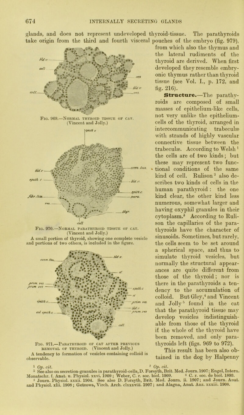 glands, and does not represent undeveloped thyroid-tissue. The parathyroids take origin from the third and fourth visceral pouches of the embryo (fig. 979), from which also the thymus and the lateral rudiments of the ■ • Mi-1 ce/i ■i ‘r--. .■ J //^*5 1‘ .iT-i; ijS n^aj-gS / Fig. 969.—Nobmal thykoid tissue of cat. (Vincent and Jolly.) efic/H c comi. ^iss. “ JA ® • < —. « V • » „• a ® ■■'. ^ »o3 ^iss- '\ if ♦a*,* 'j»V ■•> • S'-*.® J. ' h- ''v_'c_; -iAP- Lie 1 coll Fig. 970.—Nobmal pabathyeoid tissue of cat. (Vincent and Jolly.) A small portion of thyroid, showing one complete vesicle and portions of two others, is included in the figure. !<* -i’. -r. d‘ ^ '>■ • *' -?S '' ■ conn ■ did I .«• VA-r''>^ . '■si\ ^ ii-; vv5^.. pmn. i/es. prim i^es ^ * • *# '0 ‘0*1 'fc'» coll. U-Vv%t ■ I' O • , ... J* Fig. 971.—Pabathyboid of cat after previous REMOVAL OP THYROID. (Vincent and Jolly.) A tendency to formation of vesicles containing colloid is observable. thyroid are derived. When first developed they resemble embry- onic thymus rather than thyroid tissue (see Vol. I., p. 172, and fig. 216). Structure.—The parathy- roids are composed of small masses of epithelium-like cells, not very unlike the epithelium- cells of the thyroid, arranged in intercommunicating trabeculae with strands of highly vascular connective tissue between the trabeculae. According to Welsh ' the cells are of two kinds; but these may represent two func- tional conditions of the same kind of cell. Rulison^ also de- scribes two kinds of cells in the human parathyroid: the one kind clear, the other kind less numerous, somewhat larger and having oxyphil granules in their cytoplasm.^ According to Kuli- son the capillaries of the para- thyroids have the character of sinusoids. Sometimes, but rarely, the cells seem to be set around a spherical space, and thus to simulate thyroid vesicles, but normally the structural appear- ances are quite different from those of the thyroid; nor is there in the parathyroids a ten- dency to the accumulation of colloid. But Gley,* and Vincent and Jolly'’ found in the cat that the parathyroid tissue may develop vesicles indistinguish- able from those of the thyroid if the whole of the thyroid have been removed, and only para- thyroids left (figs. 969 to 972). This result has been also ob- tained in the dog by Halpenny 1 0^9. cit. - Op. cit. ^ See also on secretion-granules in parathyroid-cells, D. Forsyth, Brit. Med. Journ. 1907; Engel, Intern. Monatschr. f. Anat. u. Physiol, xxvi. 1909 ; Weber, C. r. soc. biol. 1909. C. r. soc. de biol. 1893. ® Journ. Physiol, xxxii. 1904. See also D. Forsyth, Brit. Med. Journ. ii. 1907; and Journ. Anat. and Physiol, xlii. 1908 ; Getzowa, Virch. Arch, clxxxviii. 1907 ; and Alagna, Anat. Anz. xxxiii. 1908.