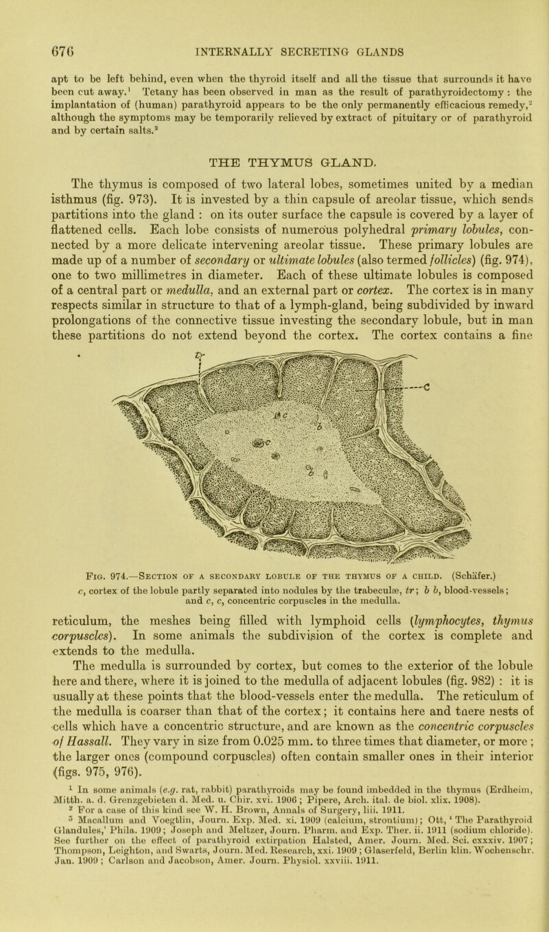 apt to be left behind, even when the thyroid itself and all the tissue that surrounds it have been cut away.' Tetany has been observed in man as the result of parathyroidectomy : the implantation of (human) parathyroid appears to be the only permanently efficacious remedy,- although the symptoms may be temporarily relieved by extract of pituitary or of parathyroid and by certain salts.® THE THYMUS GEAHD. The thymus is composed of two lateral lobes, sometimes united by a median isthmus (fig. 973). It is invested by a thin capsule of areolar tissue, which sends partitions into the gland : on its outer surface the capsule is covered by a layer of flattened cells. Each lobe consists of numerous polyhedral primary lobules, con- nected by a more delicate intervening areolar tissue. These primary lobules are made up of a number of secondary or ultimate lobules (also termed follicles) (fig. 974), one to two millimetres in diameter. Each of these ultimate lobules is composed of a central part or medulla, and an external part or cortex. The cortex is in many respects similar in structure to that of a lymph-gland, being subdivided by inward prolongations of the connective tissue investing the secondary lobule, but in man these partitions do not extend beyond the cortex. The cortex contains a fine Fig. 974.—Section of a secondaby lobule of the thymus of a child. (Schafer.) c, cortex of the lobule partly separated into nodules by the trabeculae, tr\ b b, blood-vessels; and c, c, concentric corpuscles in the medulla. reticulum, the meshes being filled wdth lymphoid cells (lymphocytes, thymus corpuscles). In some animals the subdivision of the cortex is complete and extends to the medulla. The medulla is surrounded by cortex, but comes to the exterior of the lobule here and there, where it is joined to the medulla of adjacent lobules (fig. 982) : it is usually at these points that the blood-vessels enter the medulla. The reticulum of the medulla is coarser than that of the cortex; it contains here and tnere nests of ■cells which have a concentric structure, and are known as the concentric corpuscles of Hassall. They vary in size from 0.025 mm. to three times that diameter, or more ; the larger ones (compound corpuscles) often contain smaller ones in their interior (figs. 975, 976). ^ In some animals {e.g. rat, rabbit) parathyroids may be found imbedded in the thymus (Erdheim, Mitth. a. d. Grenzgebieten d. Med. u. Chir. xvi. 1906 ; Pipere, Arch. ital. de biol. xlix. 1908). ^ For a case of this kind see W. H. Brown, Annals of Surgery, liii. 1911. ^ Macallum and Voegtlin, Journ. Exp. Med. xi. 1909 (calcium, strontium); Ott, ‘ The Parathyroid Glandules,’ Phila. 1909; Joseph and Meltzer, Journ. Pharm. and Exp. Ther. ii. 1911 (sodium chloride). See further on the effect of parathyroid extirpation Halsted, Amer. Journ. Med. Sci. cxxxiv. 1907; Thompson, Leighton, and Swarts, Journ. Med. Research, xxi. 1909 ; Glaserfeld, Berlin klin. Wochenschr.
