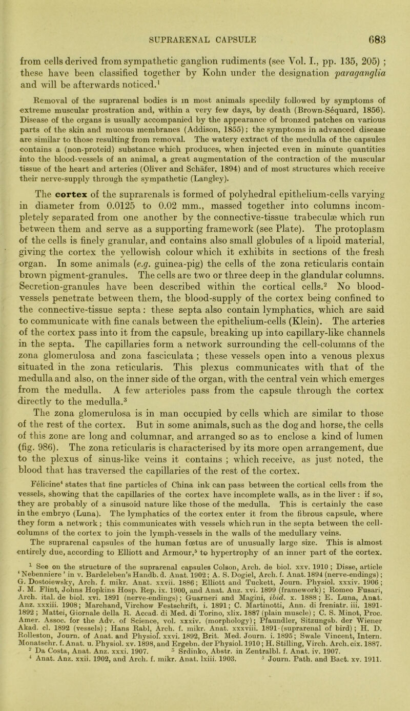 from cells derived from sympathetic ganglion rudiments (see Vol. I., pp. 135, 205) ; these have been classified together by Kohn under the designation 'paraganglia and will be afterwards noticed.' Removal of the suprarenal bodies is in most animals speecUly followed by symptoms of extreme muscular prostration and, within a very few days, by death (Brown-Sequard, 1856). Disease of the organs is usually accompanied by the appearance of bronzed patches on various parts of the sldn and mucous membranes (Addison, 1855); the symptoms in advanced disease are similar to those resulting from removal. The watery extract of the medulla of the capsules contains a (non-proteid) substance which produces, when injected even in minute quantities into the blood-vessels of an animal, a great augmentation of the contraction of the muscular tissue of the heart and arteries (OHver and Schafer, 1894) and of most structures which receive their nerve-supply through the sympathetic (Langley). The cortex of the suprarenale is formed of polyhedral epithelium-cells varying in diameter from 0.0125 to 0.02 mm., massed together into columns incom- pletely separated from one another by the connective-tissue trabeculae which run between them and serve as a supporting framework (see Plate). The protoplasm of the cells is finely granular, and contains also small globules of a lipoid material, giving the cortex the yellowish colour which it exhibits in sections of the fresh organ. In some animals {e.g. guinea-pig) the cells of the zona reticularis contain brown pigment-granules. The cells are two or three deep in the glandular columns. Secretion-granules have been described within the cortical cells.^ No blood- vessels penetrate between them, the blood-supply of the cortex being confined to the connective-tissue septa; these septa also contain lymphatics, which are said to communicate with fine canals between the epithelium-cells (Klein). The arteries of the cortex pass into it from the capsule, breaking up into capillary-like channels in the septa. The capillaries form a network surrounding the cell-columns of the zona glomerulosa and zona fasciculata ; these vessels open into a venous plexus situated in the zona reticularis. This plexus communicates with that of the medulla and also, on the inner side of the organ, with the central vein which emerges from the medulla. A few arterioles pass from the capsule through the cortex directly to the medulla.'' The zona glomerulosa is in man occupied by cells which are similar to those of the rest of the cortex. But in some animals, such as the dog and horse, the cells of this zone are long and columnar, and arranged so as to enclose a kind of lumen (fig. 986). The zona reticularis is characterised by its more open arrangement, due to the plexus of sinus-like veins it contains ; which receive, as just noted, the blood that has traversed the capillaries of the rest of the cortex. Felicine^ states that fine particles of China ink can pass between the cortical cells from the vessels, showing that the capillaries of the cortex have incomplete walls, as in the liver : if so, they are probably of a sinusoid nature like those of the medulla. This is certainly the case in the embryo (Luna). The lymphatics of the cortex enter it from the fibrous capsule, where they form a network; this communicates with vessels which run in the septa between the cell- columns of the cortex to join the lymph-vessels in the walls of the medullary veins. The suprarenal capsules of the human foetus are of unusually large size. This is almost entirely due, according to Elliott and Armour,® to hypertrophy of an inner part of the cortex. ^ See on the structure of the suprarenal capsules Colson, Arch, de biol. xxv. 1910 ; Disse, article ‘ Nebenniere ’ in v. Bardeleben’s Handb. d. Anat. 1902 ; A. S. Dogiel, Arch. f. Anat. 1894 (nerve-endings); G. Dostoiewsky, Arch. f. mikr. Anat. xxvii. 1886; Elliott and Tuckett, Journ. Physiol, xxxiv. 1906; J. M. Flint, Johns Hopkins Hosp. Rep. ix. 1900, and Anat. Anz. xvi. 1899 (framework); Romeo Fusari, Arch. ital. de biol. xvi. 1891 (nerve-endings); Guarneri and Magini, ihid. x. 1888 ; E. Luna, Anat. Anz. xxxiii. 1908; Marchand, Virchow Festschrift, i. 1891; C. Martinotti, Ann. di freniatr. iii. 1891- 1892 ; Mattei, Giornale della R. Accad. di Med. di Torino, xlix. 1887 (plain muscle); C. S. Minot, Proc. Amer. Assoc, for the Adv. of Science, vol. xxxiv. (morphology); Pfaundler, Sitzungsb. der Wiener Akad. cl. 1892 (vessels); Hans Rabl, Arch. f. mikr. Anat. xxxviii. 1891 • (suprarenal of bird); H. D. Rolleston, Joum. of Anat. and Physiof. xxvi. 1892, Brit. Med. Journ. i. 1895; Swale Vincent, Intern. Monatschr. f. Anat. u. Physiol, xv. 1898, and Ergebn. der Physiol. 1910; H. Stilling, Virch. Arch. cix. 1887. - Da Costa, Anat. Anz. xxxi. 1907. ^ Srdinko, Abstr. in Zentralbl. f. Anat. iv. 1907. ‘ Anat. Anz. xxii. 1902, and Arch. f. mikr. Anat. Ixiii. 1903. “ Journ. Path, and Bact. xv. 1911.