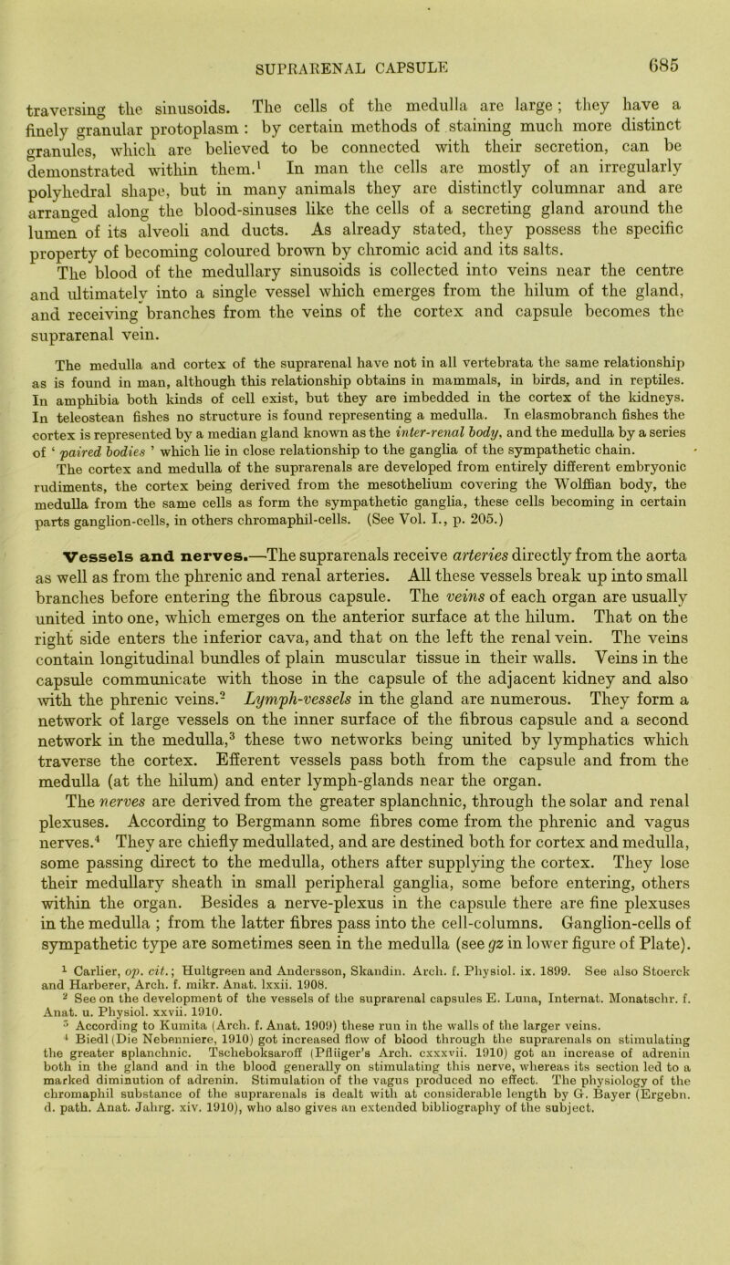 traversing the sinusoids. The cells of the medulla are large; they have a finely granular protoplasm ; by certain methods of staining much more distinct <rranules, which are believed to be connected with their secretion, can be demonstrated within them.' In man the cells are mostly of an irregularly polyhedral shape, but in many animals they are distinctly columnar and are arranged along the blood-sinuses like the cells of a secreting gland around the lumen of its alveoli and ducts. As already stated, they possess the specific property of becoming coloured brown by chromic acid and its salts. The blood of the medullary sinusoids is collected into veins near the centre and ultimately into a single vessel which emerges from the hilum of the gland, and receiving branches from the veins of the cortex and capsule becomes the suprarenal vein. The medulla and cortex of the suprarenal have not in all vertebrata the same relationship as is found in man, although this relationship obtains in mammals, in birds, and in reptiles. In amphibia both kinds of cell exist, but they are imbedded in the cortex of the kidneys. In teleostean fishes no structure is found representing a medulla. In elasmobranch fishes the cortex is represented by a median gland known as the inter-renal body, and the meduUa by a series of ‘ faired bodies ’ which lie in close relationship to the ganglia of the sympathetic chain. The cortex and medulla of the suprarenals are developed from entirely different embryonic rudiments, the cortex being derived from the mesothelium covering the Wolffian body, the medulla from the same cells as form the sympathetic ganglia, these cells becoming in certain parts ganglion-cells, in others chromaphil-cells. (See Vol. I., i?. 205.) Vessels and nerves.—The suprarenals receive directly from the aorta as well as from the phrenic and renal arteries. All these vessels break up into small branches before entering the fibrous capsule. The veins of each organ are usually united into one, which emerges on the anterior surface at the hilum. That on the right side enters the inferior cava, and that on the left the renal vein. The veins contain longitudinal bundles of plain muscular tissue in their walls. Veins in the capsule communicate with those in the capsule of the adjacent kidney and also mth the phrenic veins.- Lymph-vessels in the gland are numerous. They form a network of large vessels on the inner surface of the fibrous capsule and a second network in the medulla,^ these two networks being united by lymphatics which traverse the cortex. Efferent vessels pass both from the capsule and from the medulla (at the hilum) and enter lymph-glands near the organ. The nerves are derived from the greater splanchnic, through the solar and renal plexuses. According to Bergmann some fibres come from the phrenic and vagus nerves.^ They are chiefly medullated, and are destined both for cortex and medulla, some passing direct to the medulla, others after supplying the cortex. They lose their medullary sheath in small peripheral ganglia, some before entering, others within the organ. Besides a nerve-plexus in the capsule there are fine plexuses in the medulla ; from the latter fibres pass into the cell-columns. Ganglion-cells of sympathetic type are sometimes seen in the medulla (see gz in lower figure of Plate). ^ Carlier, op. cit.\ Hultgreen and Andersson, Skandin. Arch. f. Physiol, ix. 1899. See also Stoerck and Harberer, Arch. f. raikr. Anat. Ixxii. 1908. ^ See on the development of the vessels of the suprarenal capsules E. Luna, Internat. Monatschr. f. Anat. u. Physiol, xxvii. 1910. ^ According to Kumita (Arch. f. Anat. 1909) these run in the walls of the larger veins. ^ Biedl (Die Nebenniere, 1910) got increased flow of blood through the suprarenals on stimulating the greater splanchnic. Tscheboksaroff (Pfliiger’s Arch, cxxxvii. 1910) got an increase of adrenin both in the gland and in the blood generally on stimulating this nerve, whereas its section led to a marked diminution of adrenin. Stimulation of the vagus produced no effect. The physiology of the chromaphil substance of the suprarenals is dealt with at considerable length by G. Bayer (Ergebn. d. path. Anat. Jahrg. xiv. 1910), who also gives an extended bibliography of the subject.