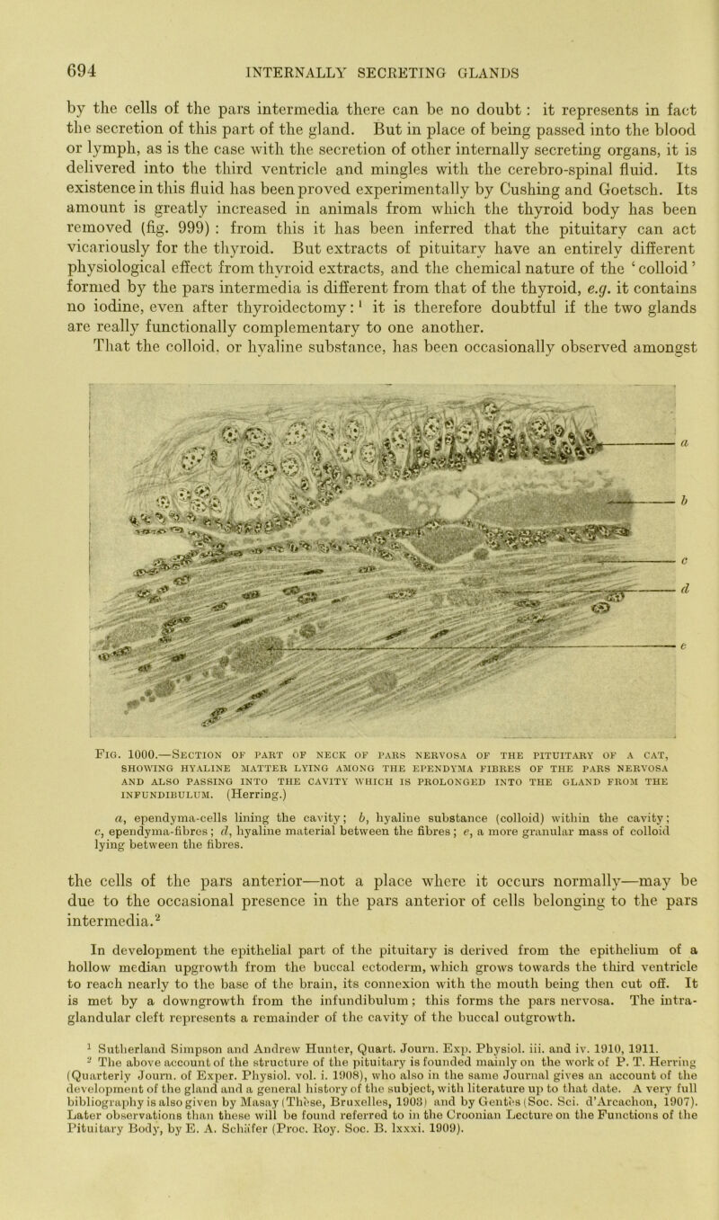 by the cells of the pars intermedia there can be no doubt: it represents in fact the secretion of this part of the gland. But in place of being passed into the blood or lymph, as is the case with the secretion of other internally secreting organs, it is delivered into the third ventricle and mingles with the cerebro-spinal fluid. Its existence in this fluid has been proved experimentally by Cushing and Goetsch. Its amount is greatly increased in animals from which the thyroid body has been removed (fig. 999) : from this it has been inferred that the pituitary can act vicariously for the thyroid. But extracts of pituitary have an entirely different physiological effect from thyroid extracts, and the chemical nature of the ‘ colloid ’ formed by the pars intermedia is different from that of the thyroid, e.g. it contains no iodine, even after thyroidectomy: ‘ it is therefore doubtful if the two glands are really functionally complementary to one another. That the colloid, or hyaline substance, has been occasionally observed amongst i - • . ... i Fig. 1000.—Section of part of neck of pars nervosa of the pituitary of a cat, SHOWING hyaline MATTER LYING AMONG THE EPENDYMA FIBRES OF THE PARS NERVOSA AND ALSO PASSING INTO THE CAVITY WHICH IS PROLONGED INTO THE GLAND FROM THE INFUNDIBULUM. (Herring.) a, ependyma-cells lining the cavity; 6, hyaline substance (colloid) within the cavity; c, ependyma-fibres ; tl, hyaline material between the fibres; e, a more granular mass of colloid lying between the fibres. the cells of the pars anterior—not a place where it occurs normally—may be due to the occasional presence in the pars anterior of cells belonging to the pars intermedia.^ In development the epithelial part of the pituitary is derived from the epithelium of a hollow median upgrowth from the buccal ectoderm, which grows towards the tliird ventricle to reach nearly to the base of the brain, its connexion with the mouth being then cut off. It is met by a downgrowth from the infundibulum ; this forms the pars nervosa. The intra- glandular cleft represents a remainder of the cavity of the buccal outgrowth. ^ Sutherland Simpson and Andrew Hunter, Quart. Journ. Exp. Physiol, iii. and iv. 1910, 1911. - The above account of the structure of the pituitary is founded mainly on the woi'k of P. T. Herring (Quarterly Journ. of Exper. Physiol, vol. i. 1908), who also in the same Journal gives an account of the development of the gland and a general history of the subject, with literature up to that date. A very full bibliography is also given by Masay (These, Bruxelles, 1903) and by Gentc'S (Soc. Sci. d’Arcachon, 1907). Later observations than these will be found referred to in the Croonian Lecture on the Functions of the Pituitary Body, by E. A. Schiifer (Proc. Roy. Soc. B. Ixxxi. 1909).