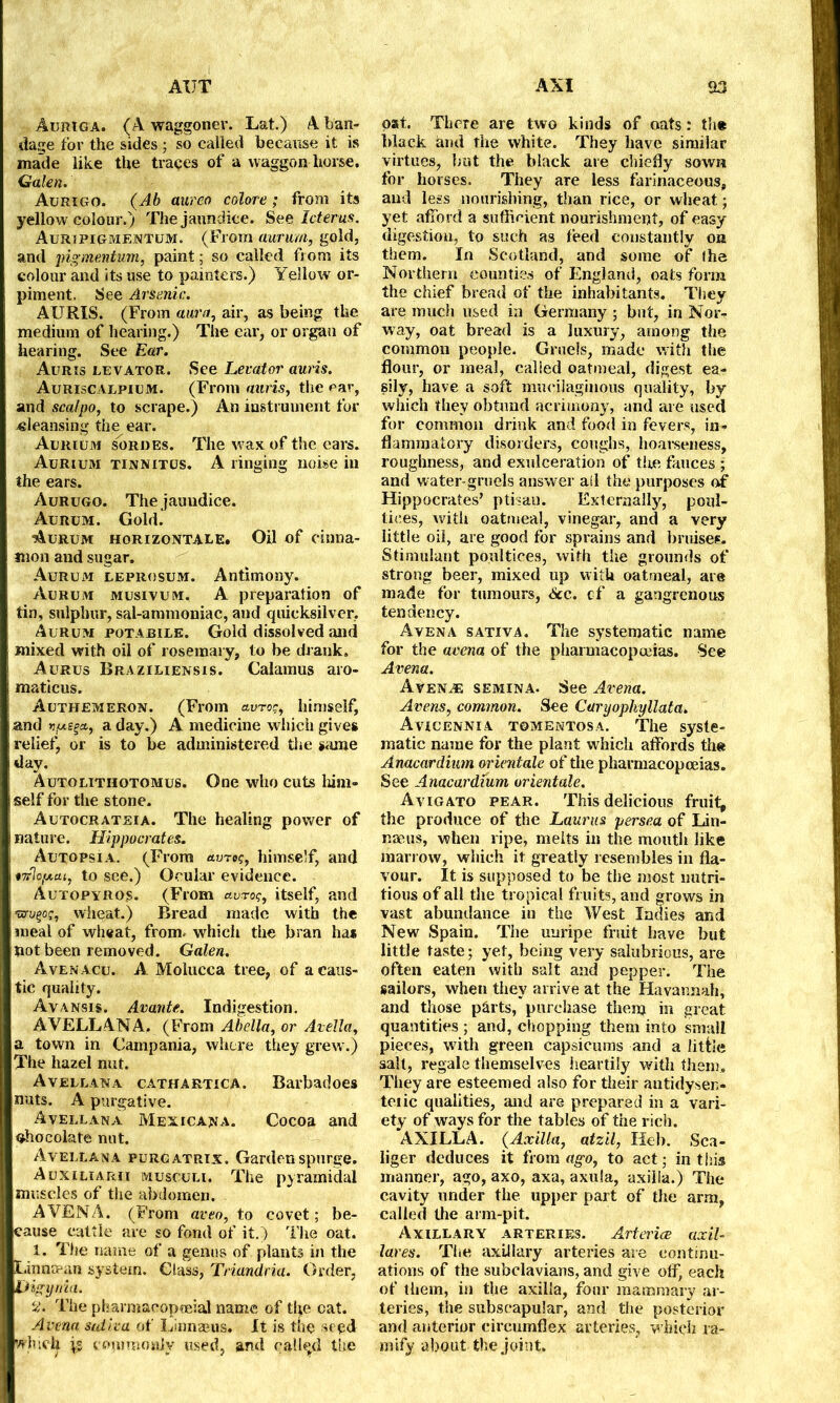 Auriga. (A waggoner. Lat.) A ban- dage for the sides ; so called because it is made like the traces of a waggon horse. Galen. Aurigo. (Ab anreo colore ; from its yellow colour.) The jaundice. See Icterus. Auripigmentum. (From aurum, gold, and jngmentum, paint; so called from its colour and its use to painters.) Yellow or- piment. See Arsenic. AURIS. (From aura, air, as being the medium of hearing.) The ear, or organ of hearing. See Ear. Auris levator. See Levator auris. Auriscalpium. (From auris, the ear, and scalpo, to scrape.) An instrument for cleansing the ear. Aurium sordes. The wax of the ears. Aurium tinnitus. A ringing noise in the ears. Aurugo. The jauudice. Aurum. Gold. Aurum horizontale. Oil of cinna- mon and sugar. Aurum leprosum. Antimony. Aurum musivum. A preparation of tin, sulphur, sal-ammoniac, and quicksilver. Aurum potabile. Gold dissolved and mixed with oil of rosemary, to be drank. Aurus Braziliensis. Calamus aro- maticus. Authemeron. (From etvroc, himself, and vy-ega, a day.) A medicine which gives relief, or is to be administered the same ! day. Autolitiiotomus. One who cuts him- self for the stone. Autocrateia. The healing power of nature. Hippocrates. ! Autopsia. (From atrre?, himself, and ♦7rloycu, to see.) Ocular evidence. Autopyros. (From avroq, itself, and TO-ygo?, wheat.) Bread made with the meal of wheat, from, which the bran has pot been removed. Galen. AvenAcu. A Molucca tree, of a caus- tic quality. Avansis. Avante. Indigestion. AVELLANA. (From Abella, or Avella, a town in Campania, where they grew.) The hazel nut. Avellana cathartica. Barbadoes nuts. A purgative. Avellana Mexicana. Cocoa and chocolate nut. Avellana purgatrix. Garden spurge. Auxiliarii musculi. The pyramidal muscles of the abdomen. A VENA. (From aveo, to covet; be- cause cattle are so fond of it. ) The oat. 1. The name of a genus of plants in the Linnrean system. Class, Triandria. Order, Digyrda. V. The pharmacopteial name of tl?e oat. Arena saliva of Linnaeus. It is the seed vrluch roams only used, and calk’d the pat. There are two kinds of oats .* th* black land the white. They have similar virtues, but the black are chiefly sown for horses. They are less farinaceous, and less nourishing, than rice, or wheat; yet afford a sufficient nourishment, of easy digestion, to such as feed constantly on them. In Scotland, and some of the Northern counties of England, oats form the chief bread of the inhabitants. They are much used in Germany ; but, in Nor- way, oat bread is a luxury, among the common people. Gruels, made with the flour, or meal, called oatmeal, digest ea- sily, have a soft mucilaginous quality, by which they obtund acrimony, and are used for common drink and food in fevers, in- flammatory disorders, coughs, hoarseness, roughness, and exulceration of tire fauces ; and water-gruels answer all the purposes of Hippocrates’ ptisan. Externally, poul- tices, with oatmeal, vinegar, and a very little oil, are good for sprains and bruises. Stimulant poultices, with the grounds of strong beer, mixed up with oatmeal, are made for tumours, See. cf a gangrenous tendency. Avena sativa. The systematic name for the arena of the pharmacopoeias. See Arena. Avenge semina. See Avena. Arens, common. See Caryophyllata. Avicennia tomentosa. The syste- matic name for the plant which affords the Anacardium orientale of the pharmacopoeias. See Anacardium orientale. Avigato pear. This delicious fruit, the produce of the Lauras persea of Lin- naeus, when ripe, melts in the mouth like marrow, which it greatly resembles in fla- vour. It is supposed to be the most nutri- tious of all the tropical fruits, and grows in vast abundance in the West Indies and New Spain. The unripe fruit have but little taste; yet, being very salubrious, are often eaten with salt and pepper. The sailors, when they arrive at the Havannah, and those parts, purchase then? in great quantities ; and, chopping them into small pieces, with green capsicums and a little salt, regale themselves heartily with them. They are esteemed also for their autidysen- teiic qualities, and are prepared in a vari- ety of ways for the tables of the rich. AXILLA. {Axilla, atzil, Heb. Sca- liger deduces it from ago, to act; in this manner, ago, axo, axa, axula, axilla.) The cavity under the upper part of the arm, called the arm-pit. Axillary arteries. Arterice axil- lares. The axillary arteries are continu- ations of the subclavians, and give off, each of them, in the axilla, four mammary ar- teries, the subscapular, and the posterior and anterior circumflex arteries, which ra- mify about the joint.
