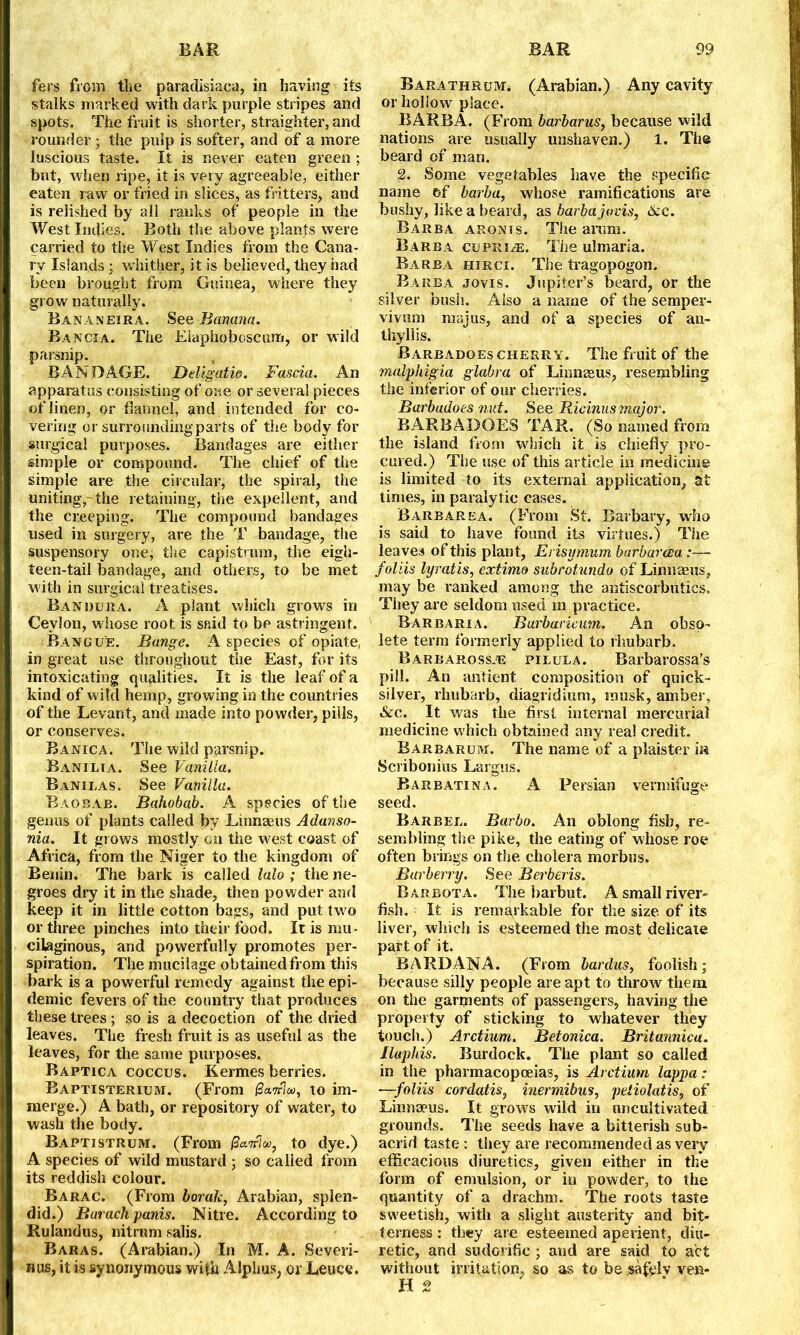 fers from the paradisiac;), in having its stalks marked with dark purple stripes and spots. The fruit is shorter, straighter, and rounder ; the pulp is softer, and of a more luscious taste. It is never eaten green ; but, when ripe, it is very agreeable, either eaten raw or fried in slices, as fritters, and is relished by all ranks of people in the West Indies. Both the above plants were carried to the West Indies from the Cana- ry Islands ; whither, it is believed, they had been brought from Guinea, where they grow naturally. Bananeira. See Banana. Bancea. The Elaphoboscum, or wild parsnip. BANDAGE. Deligatio. Fascia. An apparatus consisting of one or several pieces of linen, or flannel, and intended for co- vering or surrounding-parts of the body for surgical purposes. Bandages are either simple or compound. The chief of the simple are the circular, the spiral, the uniting,-the retaining, the expellent, and the creeping. The compound bandages used in surgery, are the T bandage, the suspensory one; the capistrmn, the eigh- teen-tail bandage, and others, to be met with in surgical treatises. Bandura. A plant which grows in Ceylon, whose root is said to be astringent. Bangle. Bangc. A species of opiate, in great use throughout the East, for its intoxicating qualities. It is the leaf of a kind of wild hemp, growing in the countries of the Levant, and made into powder, pills, or conserves. Banica. The wild parsnip. Banilia. See Vanilla. Banilas. See Vanilla. Baobab. Bahobab. A species of the genus of plants called by Linnaeus Adanso- nia. It giows mostly on the west coast of Africa, from the Niger to the kingdom of Benin. The bark is called lalo ; the ne- groes dry it in the shade, then powder and keep it in little cotton bags, and put two or three pinches into their food. It is mu- cilaginous, and powerfully promotes per- spiration. The mucilage obtainedfrom this bark is a powerful remedy against the epi- demic fevers of the country that produces these trees ; so is a decoction of the dried leaves. The fresh fruit is as useful as the leaves, for the same purposes. Baptica coccus. Kermes berries. Baptisterium. (From @a.7piu>, to im- merge.) A bath, or repository of water, to wash the body. Baptistrum. (From #a7r7a?, to dye.) A species of wild mustard ; so called from its reddish colour. Barac. (From borak, Arabian, splen- did.) Burach panis. Nitre. According to Rulandus, nitrum salis. Baras. (Arabian.) In M. A. Severi- nus, it is synonymous with Alphus, or Leuce. Barathrum. (Arabian.) Any cavity or hollow place. BARBA. (From harbarus, because wild nations are usually unshaven.) 1. The beard of man. 2. Some vegetables have the specific name of barba, whose ramifications are bushy, like a beard, as barba jovis, &c. Barba aronis. The arum. Barba cuprite. The ulmaria. Barba hirci. The tragopogon. Barba jovis. Jupiter’s beard, or the silver bush. Also a name of the semper- vivum majus, and of a species of an- thyllis. Barbadoes cherry. The fruit of the malphigia glabra of Linnaeus, resembling the inferior of our cherries. Barbadoes nut. See Ricinus major. BARBADOES TAR. (So named from the island from winch it is chiefly pro- cured.) The use of this article in medicine is limited to its external application, at times, in paralytic cases. Barb area. (From St. Barbary, who is said to have found its virtues.) The leaves of this plant, Erisymum barbarata:— folds lyratis, extimo subrotundo of Linnaeus, may be ranked among the antiscorbutics. They are seldom used m practice. Rarbaria. Burbaricum. An obso- lete term formerly applied to rhubarb. Barbarossje pilula. Barbarossa’s pill. An antient composition of quick- silver, rhubarb, diagridium, musk, amber, &c. It was the first internal mercurial medicine which obtained any real credit. Barbarum. The name of a plaister in Seribonius Largus. Barbatina. A Persian vermifuge seed. Barbel. Barbo. An oblong fish, re- sembling the pike, the eating of whose roe often brings on the cholera morbus. Barberry. See Berberis. Rarbota. The barbut. A small river- fish. It is remarkable for the size, of its liver, which is esteemed the most delicate part of it. BARD ANA. (From bardus, foolish; because silly people are apt to throw them on the garments of passengers, having the property of sticking to whatever they touch.) Arctium. Betonica. Britannicu. Ilaphis. Burdock. The plant so called in the pharmacopoeias, is Arctium lappa: —folds cordatis^ inermibus, petiolatis, of Linnaeus. It grows wild in uncultivated grounds. The seeds have a bitterish sub- acrid taste : they are recommended as very efficacious diuretics, given either in the form of emulsion, or in powder, to the quantity of a drachm. The roots taste sweetish, with a slight austerity and bit- terness : they are esteemed aperient, diu- retic, and sudorific ; and are said to act without irritation, so as to be safely ven- H 2