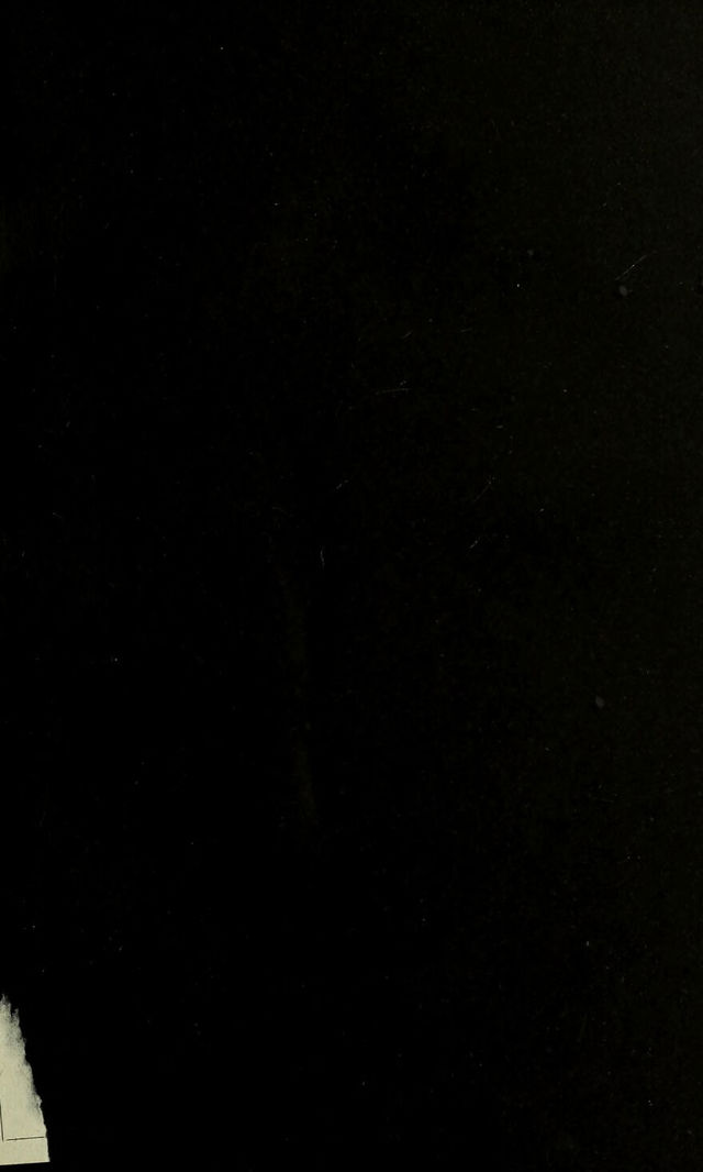 digitised image 3
