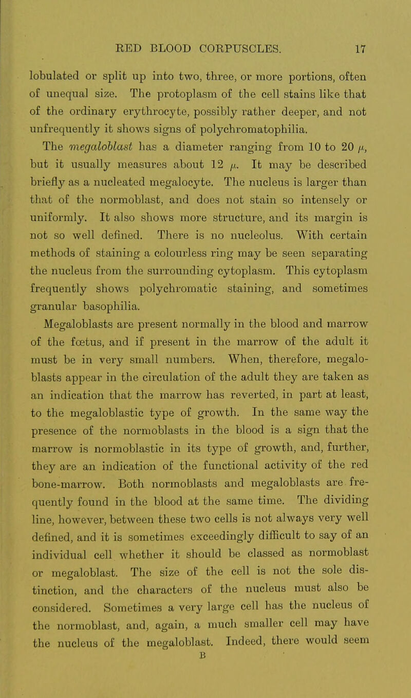 lobulated or split up into two, three, or more portions, often of unequal size. The protoplasm of the cell stains like that of the ordinary erythrocyte, possibly rather deeper, and not unfrequently it shows signs of polychromatophilia. The megaloblast has a diameter ranging from 10 to 20 /j., but it usually measures about 12 /x. It may be described briefly as a nucleated megalocyte. The nucleus is larger than that of the normoblast, and does not stain so intensely or uniformly. It also shows more structure, and its margin is not so well defined. There is no nucleolus. With certain methods of staining a colourless ring may be seen separating the nucleus from the surrounding cytoplasm. This cytoplasm frequently shows polychromatic staining, and sometimes granular basophilia. Megaloblasts are present normally in the blood and marrow of the foetus, and if present in the marrow of the adult it must be in very small numbers. When, therefore, megalo- blasts appear in the circulation of the adult they are taken as an indication that the marrow has reverted, in part at least, to the megaloblastic type of growth. In the same way the presence of the normoblasts in the blood is a sign that the marrow is normoblastic in its type of growth, and, further, they are an indication of the functional activity of the red bone-marrow. Both normoblasts and megaloblasts are fre- quently found in the blood at the same time. The dividing line, however, between these two cells is not always very well defined, and it is sometimes exceedingly difficult to say of an individual cell M'hether it should be classed as normoblast or megaloblast. The size of the cell is not the sole dis- tinction, and the characters of the nucleus must also be considered. Sometimes a very large cell has the nucleus of the normoblast, and, again, a much smaller cell may have the nucleus of the megaloblast. Indeed, there would seem B