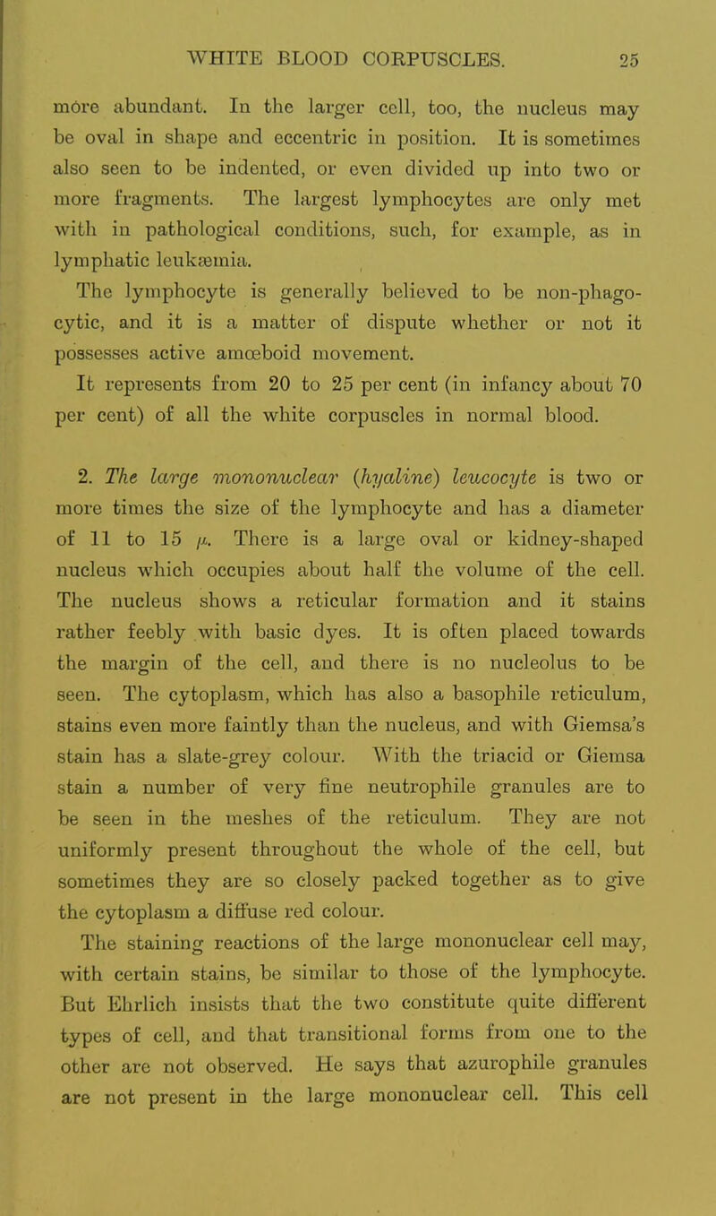 more iibundant. In the larger cell, too, the uucleus may be oval in shape and eccentric in position. It is sometimes also seen to be indented, or even divided up into two or more fragments. The largest lymphocytes are only met with in pathological conditions, such, for example, as in lymphatic leukiemia. The lymphocyte is generally believed to be non-phago- cytic, and it is a matter of dispute whether or not it possesses active amoeboid movement. It represents from 20 to 25 per cent (in infancy about 70 per cent) of all the white corpuscles in normal blood. 2. The large mononuclear (hyaline) leucocyte is two or more times the size of the lymphocyte and has a diameter of 11 to 15 ji. There is a large oval or kidney-shaped nucleus which occupies about half the volume of the cell. The nucleus shows a reticular formation and it stains rather feebly with basic dyes. It is often placed towards the margin of the cell, and there is no nucleolus to be seen. The cytoplasm, which has also a basophile reticulum, stains even more faintly than the nucleus, and with Giemsa's stain has a slate-grey colour. With the triacid or Giemsa stain a number of very fine neutrophile granules are to be seen in the meshes of the reticulum. They are not uniformly present throughout the whole of the cell, but sometimes they are so closely packed together as to give the cytoplasm a difiuse red colour. The staining reactions of the large mononuclear cell may, with certain stains, be similar to those of the lymphocyte. But Ehrlich insists that the two constitute quite diflerent types of cell, and that transitional forms from one to the other are not observed. He says that azurophile granules are not present in the large mononuclear cell. This cell