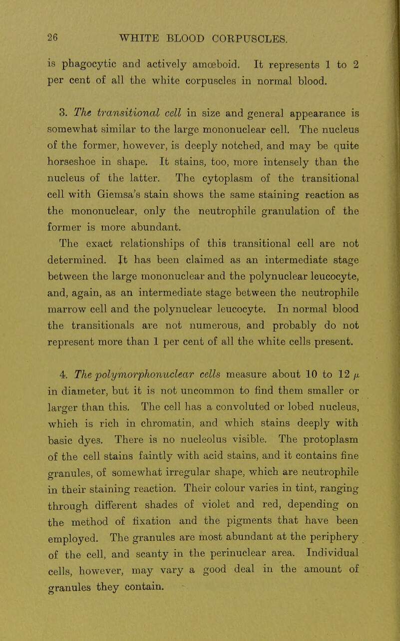 is phagocytic and actively amoeboid. It represents 1 to 2 per cent of all the white corpuscles in normal blood. 3. The transitional cell in size and general appearance is somewhat similar to the large mononuclear cell. The nucleus of the former, however, is deeply notched, and may be quite horseshoe in shape. It stains, too, more intensely than the nucleus of the latter. The cytoplasm of the transitional cell with Giemsa's stain shows the same staining reaction as the mononuclear, only the neutrophile granulation of the former is more abundant. The exact relationships of this transitional cell are not determined. Jt has been claimed as an intermediate stage between the large mononuclear and the polynuclear leucocyte, and, again, as an intermediate stage between the neutrophile marrow cell and the polynuclear leucocyte. In normal blood the transitionals are not numerous, and probably do not represent more than 1 per cent of all the white cells present. 4. The polymorphonuclear cells measure about 10 to 12/i in diameter, but it is not uncommon to find them smaller or larger than this. The cell has a convoluted or lobed nucleus, which is rich in chromatin, and which stains deeply with basic dyes. There is no nucleolus visible. The protoplasm of the cell stains faintly with acid stains, and it contains fine granules, of somewhat irregular shape, which are neutrophile in their staining reaction. Their colour varies in tint, ranging through different shades of violet and red, depending on the method of fixation and the pigments that have been employed. The granules are most abundant at the periphery of the cell, and scanty in the perinuclear area. Individual cells, however, may vary a good deal in the amount of granules they contain.