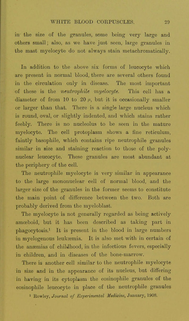 in the size of the granules, some being very large and others small; also, as we have just seen, large granules in the mast myelocyte do not always stain metachromatically. In addition to the above six forms of leucocyte which are present in normal blood, there are several others found in the circulation only in disease. The most important of these is the neutrophile myelocyte. This cell has a diameter of from 10 to 20 but it is occasionally smaller or lai'ger than that. There is a single large nucleus which is round, oval, or slightly indented, and which stains rather feebly. There is no nucleolus to be seen in the mature myelocyte. The cell protoplasm shows a fine reticulum, faintly basophile, which contains ripe neutrophile granules similar in size and staining reaction to those of the poly- nuclear leucocyte. These granules are most abundant at the periphery of the cell. The neutrophile myelocyte is very similar in appearance to the large mononuclear cell of normal blood, and the larger size of the granules in the former seems to constitute the main point of difference between the two. Both are probably derived from the myeloblast. The myelocyte is not generally regarded as being actively amoeboid, but it has been described as taking part in phagocytosis.^ It is present in the blood in large numbers in myelogenous leukaemia. It is also met with in certain of the anaemias of childhood, in the infectious fevers, especially in children, and in diseases of the bone-marrow. There is another cell similar to the neutrophile myelocyte in size and in the appearance of its nucleus, but differing in having in its cytoplasm the eosinophile granules of the eosinophile leucocyte in place of the neutrophile granules 1 'Rowley, Journal of Experimental Medicine, Ja.mmry, 1908.