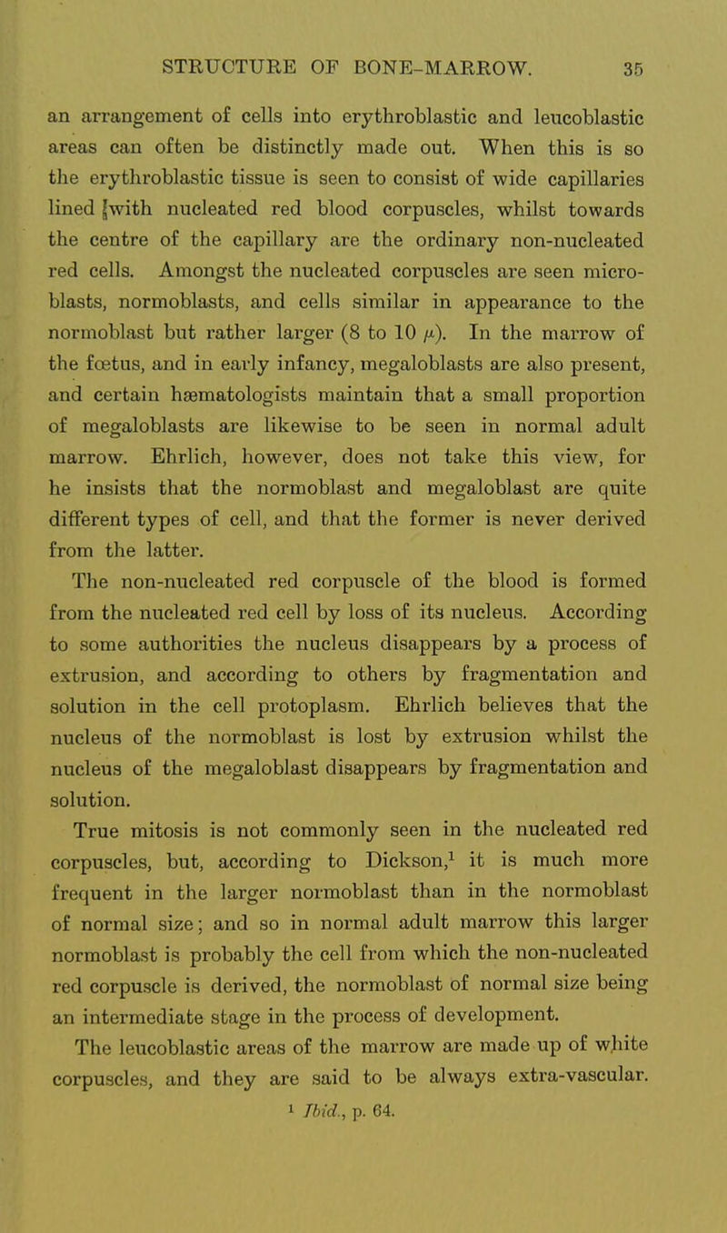 an arrangement of cells into erythroblastic and leucoblastic areas can often be distinctly made out. When this is so the erythroblastic tissue is seen to consist of wide capillaries lined ^with nucleated red blood corpuscles, whilst towards the centre of the capillary are the ordinary non-nucleated red cells. Amongst the nucleated corpuscles are seen micro- blasts, normoblasts, and cells similar in appearance to the normoblast but rather larger (8 to 10 /x). In the marrow of the foetus, and in early infancy, megaloblasts are also present, and certain haematologists maintain that a small proportion of megaloblasts are likewise to be seen in normal adult marrow. Ehrlich, however, does not take this view, for he insists that the normoblast and megaloblast are quite different types of cell, and that the former is never derived from the latter. The non-nucleated red corpuscle of the blood is formed from the nucleated red cell by loss of its nucleus. According to some authorities the nucleus disappears by a process of extrusion, and according to others by fragmentation and solution in the cell protoplasm. Ehrlich believes that the nucleus of the normoblast is lost by extrusion whilst the nucleus of the megaloblast disappears by fragmentation and solution. True mitosis is not commonly seen in the nucleated red corpuscles, but, according to Dickson,^ it is much more frequent in the larger normoblast than in the normoblast of normal size; and so in normal adult marrow this larger normoblast is probably the cell from which the non-nucleated red corpuscle is derived, the normoblast of normal size being an intermediate stage in the process of development. The leucoblastic areas of the marrow are made up of white corpuscles, and they are said to be always extra-vascular. 1 Tbid., p. 64.