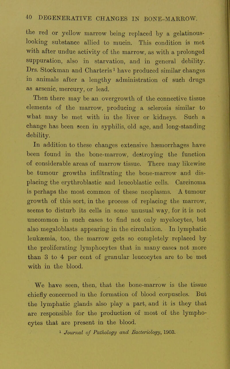 the red or yellow marrow being replaced by a gelatinous- looking substance allied to mucin. This condition is met with after undue activity of the marrow, as with a prolonged suppuration, also in starvation, and in general debility. Drs. Stockman and Charteris^ have produced similar changes in animals after a lengthy administration of such drugs as arsenic, mercury, or lead. Then there may be an overgrowth of the connective tissue elements of the marrow, producing a sclerosis similar to what may be met with in the liver or kidneys. Such a change has been seen in syphilis, old age, and long-standing debility. In addition to these changes extensive haemorrhages have been found in the bone-marrow, destroying the function of considerable areas of marrow tissue. There may likewise be tumour growths infiltrating the bone-marrow and dis- placing the erythroblastic and leucoblastie cells. Carcinoma is perhaps the most common of these neoplasms. A tumour growth of this sort, in the process of replacing the marrow, seems to disturb its cells in some unusual way, for it is not uncommon in such cases to find not only myelocytes, but also megaloblasts appearing in the circulation. In lymphatic leukfemia, too, the marrow gets so completely replaced by the proliferating lymphocytes that in many cases not more than 3 to 4 per cent of granular leucocytes are to be met with in the blood. We have seen, then, that the bone-marrow is the tissue chiefly concerned in the formation of blood corpuscles. But the lymphatic glands also play a part, and it is they that are responsible for the production of most of the lympho- cytes that are present in the blood.