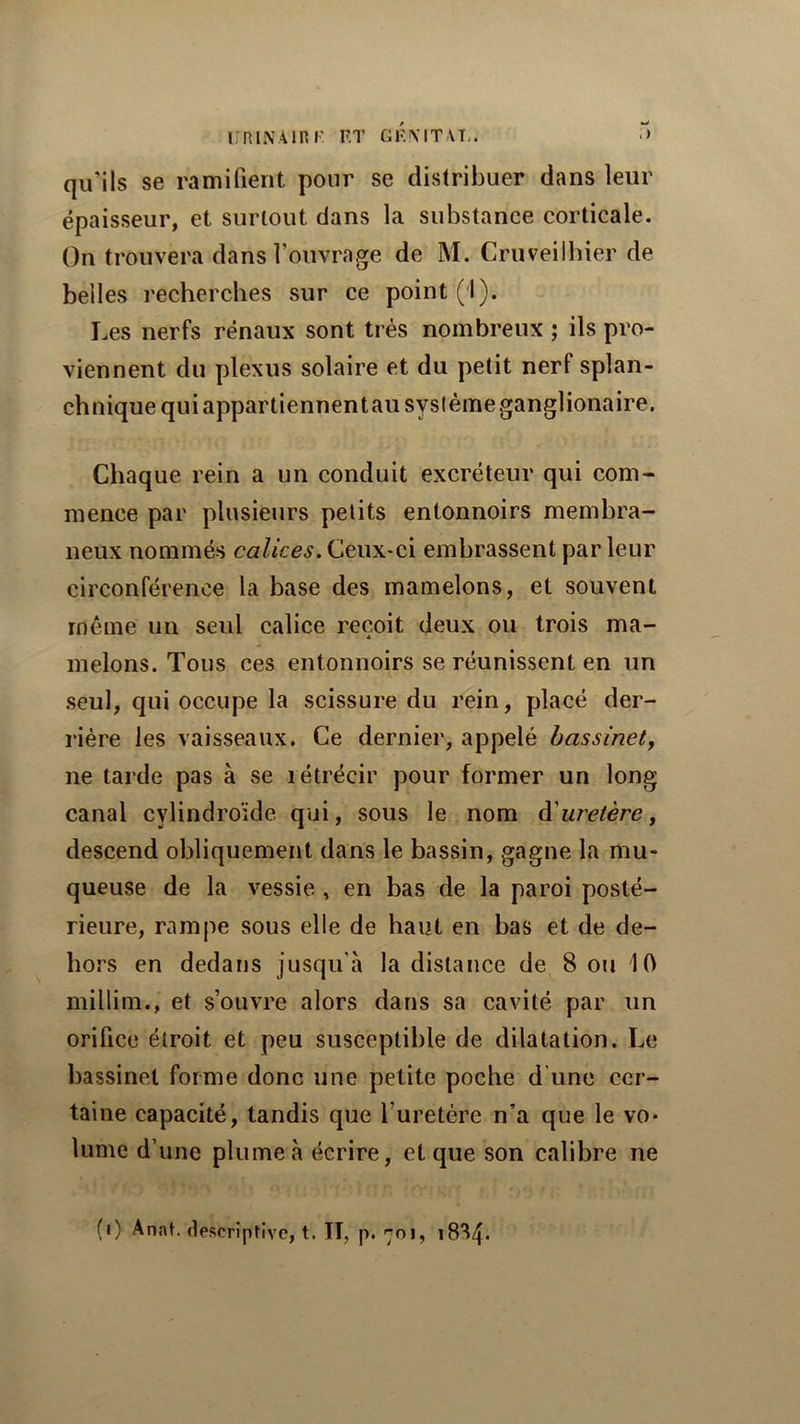 UniNAlRr F.T GF.MTAL. -> qu’ils se ramifient pour se distribuer dans leur épaisseur, et surtout dans la substance corticale. On trouvera dans l’ouvrage de M. Cruveilhier de belles recherches sur ce point (1). Les nerfs rénaux sont très nombreux ; ils pro- viennent du plexus solaire et du petit nerf splan- chnique quiappartiennentausysièmeganglionaire. Chaque rein a un conduit excréteur qui com- mence par plusieurs petits entonnoirs membra- neux nommés calices. Ceux-ci embrassent par leur circonférence la base des mamelons, et souvent même un seul calice reçoit deux ou trois ma- melons. Tous ces entonnoirs se réunissent en un seul, qui occupe la scissure du rein, placé der- rière les vaisseaux. Ce dernier, appelé hassinety ne tarde pas à se létrécir pour former un long canal cylindroïde qui, sous le nom à'uretère, descend obliquement dans le bassin, gagne la mu- queuse de la vessie , en bas de la paroi posté- rieure, rampe sous elle de haut en bas et de de- hors en dedans jusqu’à la distance de 8 ou '10 millim., et s’ouvre alors dans sa cavité par un orifice étroit et peu susceptible de dilatation. Le bassinet forme donc une petite poche d’une cer- taine capacité, tandis que l’uretère n’a que le vo- lume d’une plume à écrire, et que son calibre ne (i) Anat. descriptive, t. II, p. 701, i8^4-