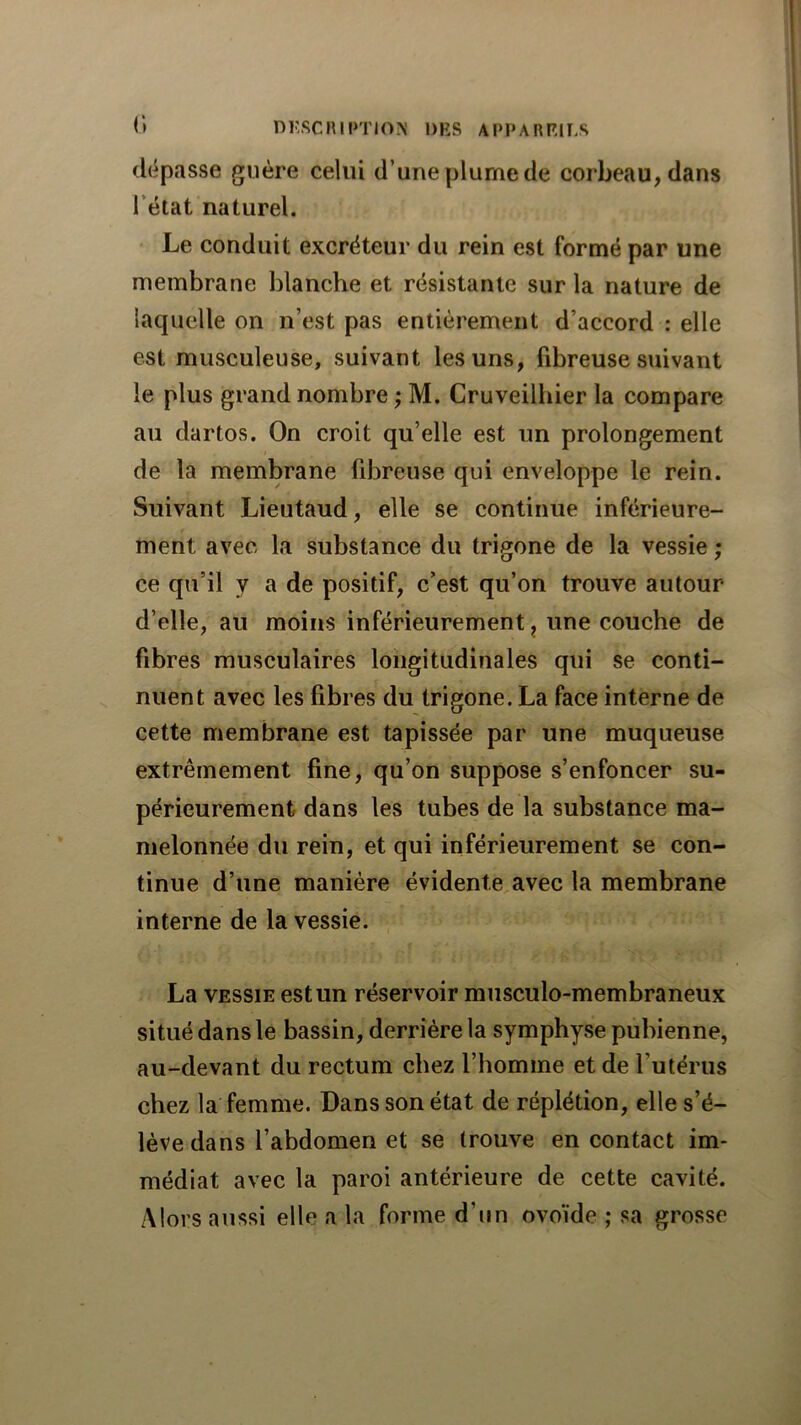 (lépcisse guère celui d’une plume de corbeau, dans l’état naturel. Le conduit excréteur du rein est formé par une membrane Idanche et résistante sur la nature de laquelle on n’est pas entièrement d’accord : elle est musculeuse, suivant les uns, fibreuse suivant le plus grand nombre ; M. Cruveilhier la compare au dartos. On croit qu’elle est un prolongement de la membrane fibreuse qui enveloppe le rein. Suivant Lieutaud, elle se continue inférieure- ment avec la substance du trigone de la vessie ; ce qu’il y a de positif, c’est qu’on trouve autour d’elle, au moins inférieurement, une couche de fibres musculaires longitudinales qui se conti- nuent avec les fibres du trigone. La face interne de cette membrane est tapissée par une muqueuse extrêmement fine, qu’on suppose s’enfoncer su- périeurement dans les tubes de la substance ma- melonnée du rein, et qui inférieurement se con- tinue d’une manière évidente avec la membrane interne de la vessie. La VESSIE est un réservoir musculo-membraneux situé dans le bassin, derrière la symphyse pubienne, au-devant du rectum chez l’homme et de l’utérus chez la femme. Dans son état de réplétion, elle s’é- lève dans l’abdomen et se trouve en contact im- médiat avec la paroi antérieure de cette cavité. Alors aussi elle a la forme d’un ovoïde ; sa grosse