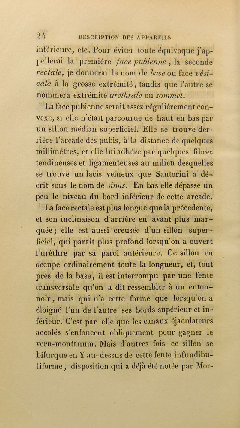 infc^rieure, etc. Pour éviter toute équivoque j’ap- pellerai la première face pubienne , la seconde rectale, je donnerai le nom de hase ou face vési- cale à la grosse extrémité, tandis que l’autre se nommera extrémité uréthrale ou sommet, La face pubienne serait assez régulièrement con- vexe, si elle n’était parcourue de haut en bas par un sillon médian superficiel. Elle se trouve der- rière l’arcade des pubis, à la distance de quelques millimètres, et elle lui adhère par quelques fibres tendineuses et ligamenteuses au milieu desquelles se trouve un lacis veineux que Santorini a dé- crit sous le nom de sinus. En bas elle dépasse un peu le niveau du bord inférieur de cette arcade. La face rectale est plus longue que la précédente, et son inclinaison d’arrière en avant plus mar- quée; elle est aussi creusée d’un sillon super- ficiel, qui paraît plus profond lorsqu’on a ouvert Lurèthre par sa paroi antérieure. Ce sillon en occupe ordinairement toute la longueur, et, tout prés de la base, il est interrompu par une fente transversale qu’on a dit ressembler à un enton- noir , mais qui n’a cette forme que lorsqu’on a éloigné l’un de l’autre ses bords supérieur et in- férieur. C’est par elle que les canaux éjaculateurs accolés s’enfoncent obliquement pour gagner le veru-montanum. Mais d’autres fois ce sillon se bifurque en Y au-dessus de cette fente infundibu- liforme^ disposition qui a déjà été notée par Mor-