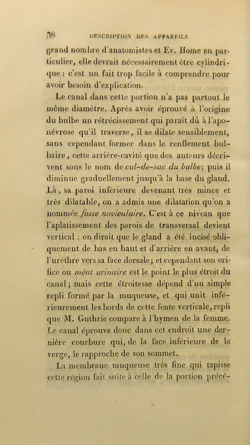 l)RSC^lI*Tl(^^' i)i:s appakI'Ils grand nombre d’anatomistes et Ev. Home en par- ticulier, elle devrait nécessairement être cylindri- que : c’est un fait trop facile à comprendre pour avoir besoin d’explication. Le canal dans cette portion n’a pas partout le même diamètre. Après avoir éprouvé à l’origine du bulbe un rétrécissement qui paraît du à l’apo- névrose qu’il traverse, il se dilate sensiblement, sans cependant former dans le renflement bul- baire , cette arrière-cavité que des auteurs décri- vent sous le nom diQ cul-de-sac du bulbe; puis il diminue graduellement jusqu’à la base du gland. Là , sa paroi inférieure devenant très mince et très dilatable, on a admis une dilatation qu’on a nommée fosse navicuhdre. C’est à ce niveau que l’aplatissement des parois de transversal devient vertical ; on dirait que le gland a été incisé obli- quement de bas en haut et d’arrière en avant, de l’urètbre vers sa face dorsale; et cependant son ori- fice ou méat urinaire est le point le plus étroit du canal ; mais cette étroitesse dépend d’un simple repli formé par la muqueuse, et qui unit infé- rieurement les bords de cette fente verticale, repli que M. Guthrie compare à l’hymen de la femme. JiC canal éprouve donc dans cet endroit une der- nière courbure qui, de la face inférieure de la verge, le rapproche de son sommet. La membrane muqueuse très fine qui tapisse cette région fait suite à celle de la portion préeé-