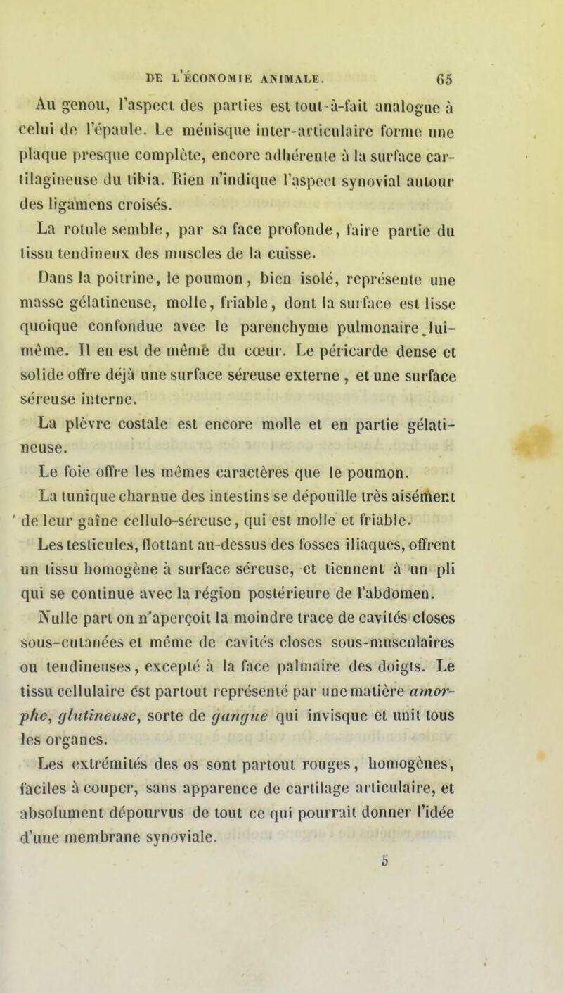 Augenöl!, l'aspeci des pariies esl toulii-fail analogue ä celui (lo 1 cpaule. Le menisquo inler-aiUculaire forme une plaque prosque coniplele, encore adherenie a la surface cai- lilagineuse du libia. Rien n'indique Taspecl synovial aulour des ligamens croises. La rolulc senible, par sa face profonde, faire parlie du tissu tendineux des nuiscles de la cuisse. Dans la poiirine, le pounion, bien isole, reprcsenle une massc gelaiineuse, molle, friable, donl la sui faco est lissc quoique confondue avec le parenchyme pulmonairejui- menie. II en esl de nienie du coeur. Le pericarde dense et solide offre deja une surface sereuse externe , et une surface sereuse interne. La plevre costalc esl encore molle et en parlie gelaii- neuse. Le foie offre les memes caracteres que le poumon. La luniquecliarnue des inteslins se depouille ires aisenier.t ' de leur gaine cellulo-sereuse, qui est molle et friable. Les lesiicules, flottanl au-dessus des fosses iliaques, offrent un lissu homogene ä surface sereuse, et tiennent a un pü qui se continue avec la region poslerieure de l'abdomen. Nulle pari on n'apcrgoit la moindre trace de caviles closes süus-culanees et meme de caviles closes sous-nuisculaires ou lendineuses, cxceplc ä la face palmaire des doigis. Le tissu cellulaire est partout represeniö par uncmaliere amor- phe^ glutineuse, sorle de gangne qui invisque et unil tous les organes. Les exlremites des os sonl parloul rouges, homogenes, faciles a couper, sans apparence de carlilage articulaire, et absolument depourvus de tout ce qui pourrail donner l'idee d'une membrane synoviale. 5