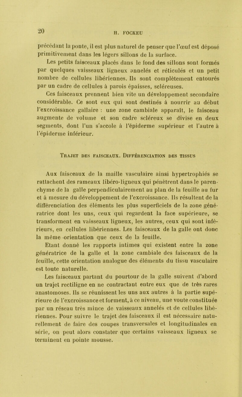 H. FOCKEU précédant la ponte, il est plus naturel de penser que l’œuf est déposé primitivement dans les légers sillons de la surface. Les petits faisceaux placés dans le fond des sillons sont formés par quelques vaisseaux ligneux annelés et réticulés et un petit nombre de cellules libériennes. Ils sont complètement entourés par un cadre de cellules à parois épaisses, scléreuses. Ces faisceaux prennent bien vite un développement secondaire considérable. Ce sont eux qui sont destinés à nourrir au début l’excroissance gallaire : une zone cambiale apparaît, le faisceau augmente de volume et son cadre scléreux se divise en deux segments, dont l’un s’accole à l’épiderme supérieur et l’autre à l’épiderme inférieur. Trajet des faisceaux. Différenciation des tissus Aux faisceaux de la maille vasculaire ainsi hypertrophiés se rattachent des rameaux libéro-ligneux qui pénètrent dans le paren- chyme de la galle perpendiculairement au plan de la feuille au fur et à mesure du développement de l’excroissance. Ils résultent de la différenciation des éléments les plus superficiels de la zone géné- ratrice dont les uns, ceux qui regardent la face supérieure, se transforment en vaisseaux ligneux, les autres, ceux qui sont infé- rieurs, en cellules libériennes. Les faisceaux de la galle ont donc la même orientation que ceux de la feuille. Etant donné les rapports intimes qui existent entre la zone génératrice de la galle et la zone cambiale des faisceaux de la feuille, cette orientation analogue des éléments du tissu vasculaire est toute naturelle. Les faisceaux partant du pourtour de la galle suivent d’abord un trajet rectiligne en ne contractant entre eux que de très rares anastomoses. Ils se réunissent les uns aux autres à la partie supé- rieure de l’excroissance et forment, à ce niveau, une voûte constituée par un réseau très mince de vaisseaux annelés et de cellules libé- riennes. Pour suivre le trajet des faisceaux il est nécessaire natu- rellement de faire des coupes transversales et longitudinales en série, on peut alors constater que certains vaisseaux ligneux se terminent en pointe mousse.