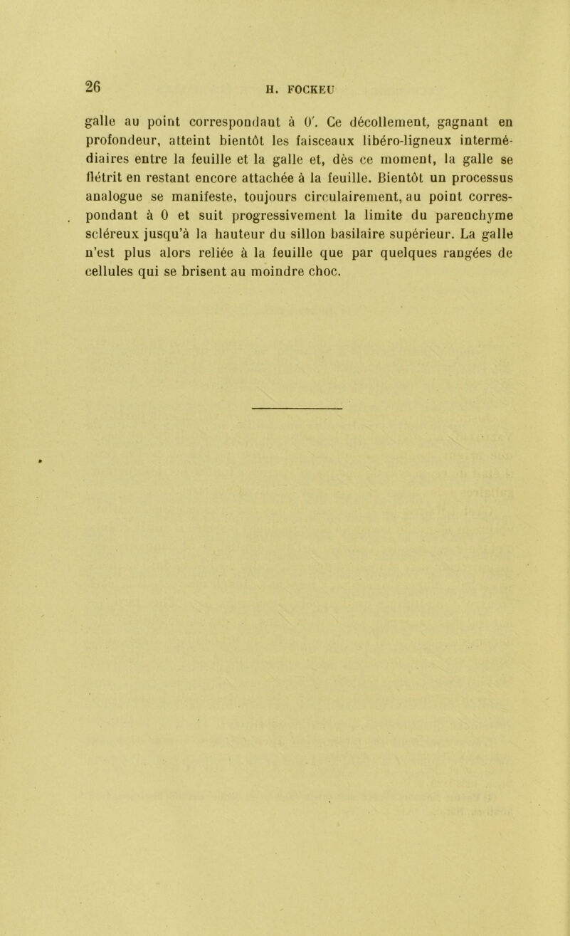 galle au point correspondant à 0'. Ce décollement, gagnant en profondeur, atteint bientôt les faisceaux libéro-ligneux intermé- diaires entre la feuille et la galle et, dès ce moment, la galle se flétrit en restant encore attachée à la feuille. Bientôt un processus analogue se manifeste, toujours circulairement, au point corres- pondant à 0 et suit progressivement la limite du parenchyme scléreux jusqu’à la hauteur du sillon basilaire supérieur. La galle n’est plus alors reliée à la feuille que par quelques rangées de cellules qui se brisent au moindre choc.