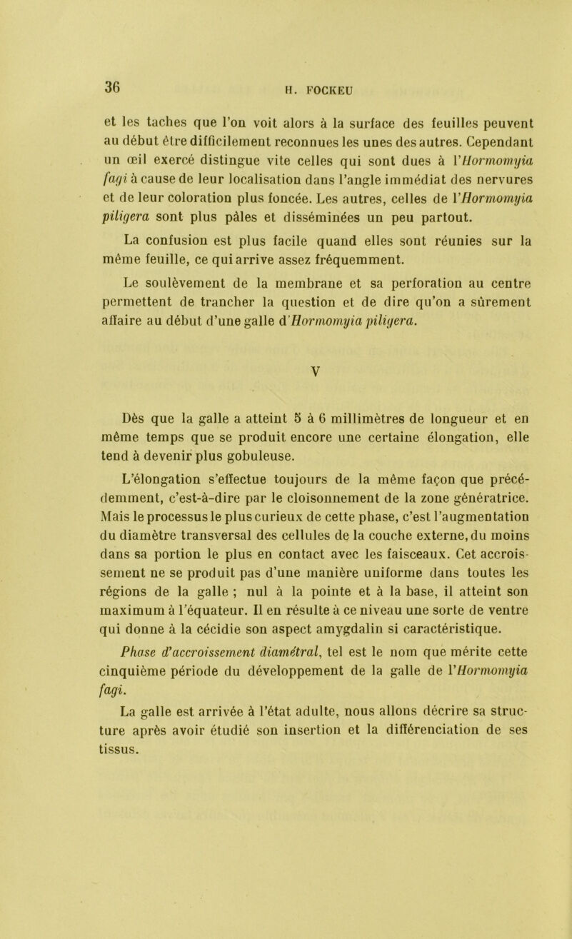 et les taches que l’on voit alors à la surface des feuilles peuvent au début être difficilement reconnues les unes des autres. Cependant un œil exercé distingue vite celles qui sont dues à YHormomyia fagi à cause de leur localisation dans l’angle immédiat des nervures et de leur coloration plus foncée. Les autres, celles de YHormomyia piligera sont plus pâles et disséminées un peu partout. La confusion est plus facile quand elles sont réunies sur la même feuille, ce qui arrive assez fréquemment. Le soulèvement de la membrane et sa perforation au centre permettent de trancher la question et de dire qu’on a sûrement affaire au début d’une galle d’Hormomyia piligera. V Dès que la galle a atteint 5 à 6 millimètres de longueur et en même temps que se produit encore une certaine élongation, elle tend à devenir plus gobuleuse. L’élongation s’effectue toujours de la même façon que précé- demment, c’est-à-dire par le cloisonnement de la zone génératrice. Mais le processus le plus curieux de cette phase, c’est l’augmentation du diamètre transversal des cellules de la couche externe, du moins dans sa portion le plus en contact avec les faisceaux. Cet accrois- sement ne se produit pas d’une manière uniforme dans toutes les régions de la galle ; nul à la pointe et à la base, il atteint son maximum à l’équateur. Il en résulte à ce niveau une sorte de ventre qui donne à la cécidie son aspect amygdalin si caractéristique. Phase d'accroissement diamétral, tel est le nom que mérite cette cinquième période du développement de la galle de YHormomyia [agi. La galle est arrivée à l’état adulte, nous allons décrire sa struc- ture après avoir étudié son insertion et la différenciation de ses tissus.