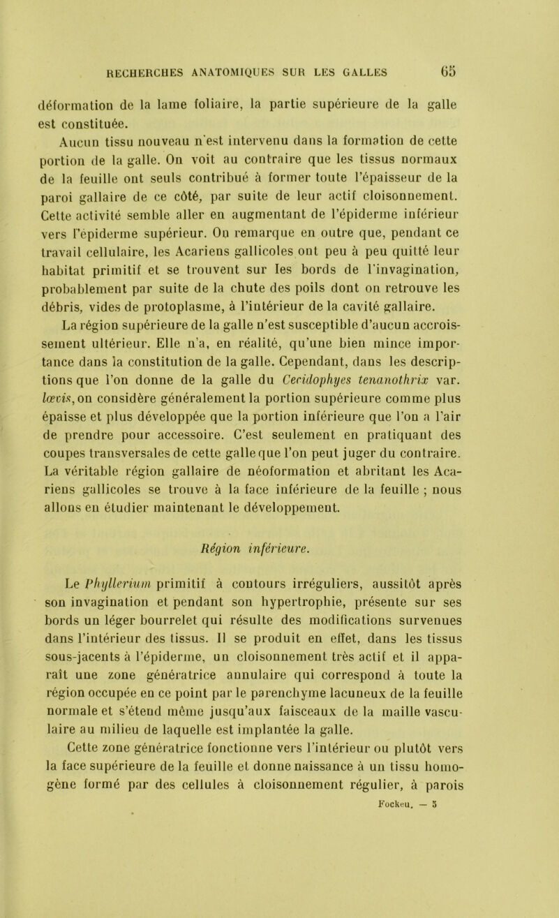 déformation de la lame foliaire, la partie supérieure de la galle est constituée. Aucun tissu nouveau n'est intervenu dans la formation de cette portion de la galle. On voit au contraire que les tissus normaux de la feuille ont seuls contribué à former toute l’épaisseur de la paroi gallaire de ce côté, par suite de leur actif cloisonnement. Cette activité semble aller en augmentant de l’épiderme inférieur vers l’épiderme supérieur. On remarque en outre que, pendant ce travail cellulaire, les Acariens gallicoles ont peu à peu quitté leur habitat primitif et se trouvent sur les bords de l’invagination, probablement par suite de la chute des poils dont on retrouve les débris, vides de protoplasme, à l’intérieur de la cavité gallaire. La région supérieure de la galle n’est susceptible d’aucun accrois- sement ultérieur. Elle n’a, en réalité, qu’une bien mince impor- tance dans la constitution de la galle. Cependant, dans les descrip- tions que l’on donne de la galle du Cecidophyes tenanothrix var. lœcis, on considère généralement la portion supérieure comme plus épaisse et plus développée que la portion inférieure que l’on a l’air de prendre pour accessoire. C’est seulement en pratiquant des coupes transversales de cette galle que l’on peut juger du contraire. La véritable région gallaire de néoformation et abritant les Aca- riens gallicoles se trouve à la face inférieure de la feuille ; nous allons en étudier maintenant le développement. Région inférieure. Le Phyllerium primitif à contours irréguliers, aussitôt après son invagination et pendant son hypertrophie, présente sur ses bords un léger bourrelet qui résulte des modifications survenues dans l’intérieur des tissus. Il se produit en effet, dans les tissus sous-jacents à l’épiderme, un cloisonnement très actif et il appa- raît une zone génératrice annulaire qui correspond à toute la région occupée en ce point par le parenchyme lacuneux de la feuille normale et s’étend même jusqu’aux faisceaux delà maille vascu- laire au milieu de laquelle est implantée la galle. Cette zone génératrice fonctionne vers l’intérieur ou plutôt vers la face supérieure de la feuille et donne naissance à un tissu homo- gène formé par des cellules à cloisonnement régulier, à parois Fockeu. — 5