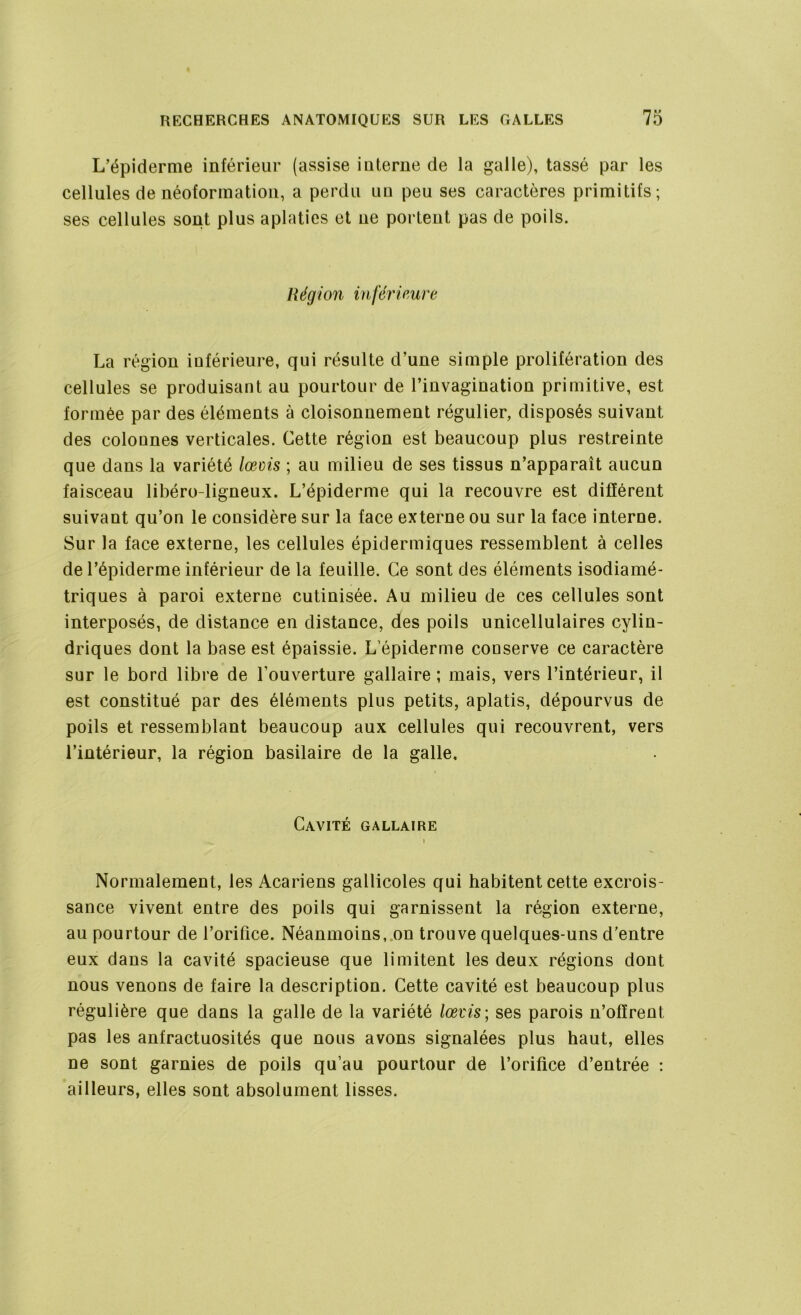 L’épiderme inférieur (assise interne de la galle), tassé par les cellules de néoformatiou, a perdu uu peu ses caractères primitifs; ses cellules sont plus aplaties et ue portent pas de poils. Région inférieure La région inférieure, qui résulte d’une simple prolifération des cellules se produisant au pourtour de l’invagination primitive, est formée par des éléments à cloisonnement régulier, disposés suivant des colounes verticales. Cette région est beaucoup plus restreinte que dans la variété lœms ; au milieu de ses tissus n’apparaît aucun faisceau libéro-ligneux. L’épiderme qui la recouvre est différent suivant qu’on le considère sur la face externe ou sur la face interne. Sur la face externe, les cellules épidermiques ressemblent à celles de l’épiderme inférieur de la feuille. Ce sont des éléments isodiamé- triques à paroi externe cutinisée. Au milieu de ces cellules sont interposés, de distance en distance, des poils unicellulaires cylin- driques dont la base est épaissie. L’épiderme conserve ce caractère sur le bord libre de l’ouverture gallaire ; mais, vers l’intérieur, il est constitué par des éléments plus petits, aplatis, dépourvus de poils et ressemblant beaucoup aux cellules qui recouvrent, vers l’intérieur, la région basilaire de la galle. Cavité gallaire i Normalement, les Acariens gallicoles qui habitent cette excrois- sance vivent entre des poils qui garnissent la région externe, au pourtour de l’orifice. Néanmoins, on trouve quelques-uns d’entre eux dans la cavité spacieuse que limitent les deux régions dont nous venons de faire la description. Cette cavité est beaucoup plus régulière que dans la galle de la variété lœvis; ses parois n’offrent pas les anfractuosités que nous avons signalées plus haut, elles ne sont garnies de poils qu’au pourtour de l’orifice d’entrée : ailleurs, elles sont absolument lisses.