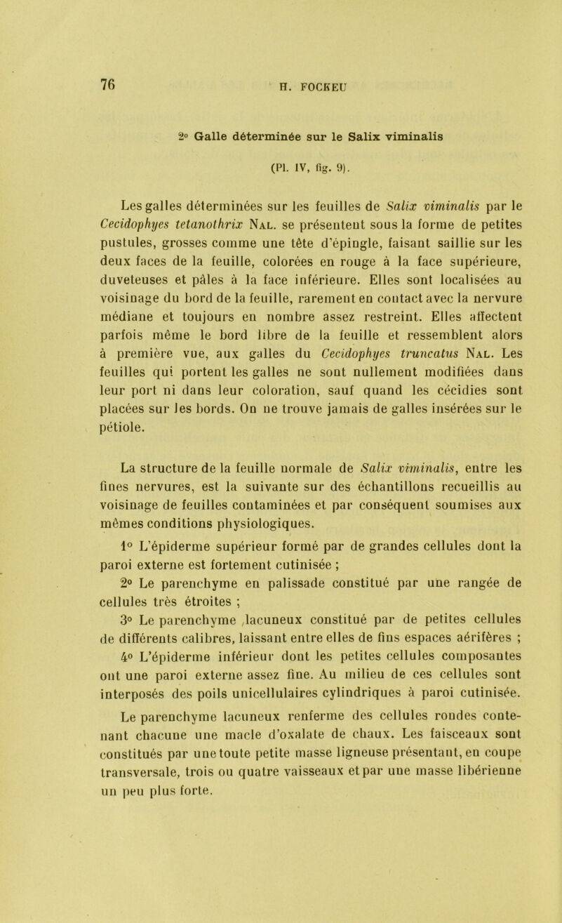 2° Galle déterminée sur le Salix viminalis (PL IV, fig. 9). Les galles déterminées sur les feuilles de Salix viminalis par le Cecidophyes tetanothrix Nal. se présentent sous la forme de petites pustules, grosses comme une tête d’épingle, faisant saillie sur les deux faces de la feuille, colorées en rouge à la face supérieure, duveteuses et pâles à la face inférieure. Elles sont localisées au voisinage du bord de la feuille, rarement en contact avec la nervure médiane et toujours en nombre assez restreint. Elles affectent parfois même le bord libre de la feuille et ressemblent alors à première vue, aux galles du Cecidophyes truncatus Nal. Les feuilles qui portent les galles ne sont nullement modifiées dans leur port ni dans leur coloration, sauf quand les cécidies sont placées sur les bords. On ne trouve jamais de galles insérées sur le pétiole. La structure de la feuille normale de Salix viminalis, entre les fines nervures, est la suivante sur des échantillons recueillis au voisinage de feuilles contaminées et par conséquent soumises aux mêmes conditions physiologiques. i 1° L’épiderme supérieur formé par de grandes cellules dont la paroi externe est fortement cutinisée ; 2° Le parenchyme en palissade constitué par une rangée de cellules très étroites ; 3° Le parenchyme lacuneux constitué par de petites cellules de différents calibres, laissant entre elles de fins espaces aérifères ; 4° L’épiderme inférieur dont les petites cellules composantes ont une paroi externe assez fine. Au milieu de ces cellules sont interposés des poils unicellulaires cylindriques à paroi cutinisée. Le parenchyme lacuneux renferme des cellules rondes conte- nant chacune une macle d’oxalate de chaux. Les faisceaux sont constitués par une toute petite masse ligneuse présentant, eu coupe transversale, trois ou quatre vaisseaux et par une masse libérienne un peu plus forte.