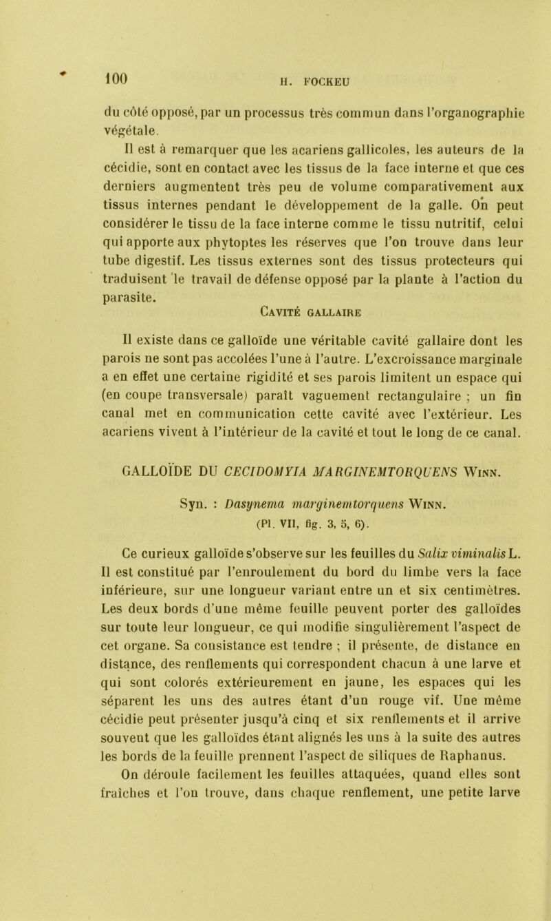 du côté opposé, par un processus très commun dans l’organographie végétale. Il est à remarquer que les acariens gallicoles, les auteurs de la cécidie, sont en contact avec les tissus de la face interne et que ces derniers augmentent très peu de volume comparativement aux tissus internes pendant le développement de la galle. On peut considérer le tissu de la face interne comme le tissu nutritif, celui qui apporte aux phytoptes les réserves que l’on trouve dans leur tube digestif. Les tissus externes sont des tissus protecteurs qui traduisent le travail de défense opposé par la plante à l’action du parasite. Cavité gallaire Il existe dans ce galloïde une véritable cavité gallaire dont les parois ne sont pas accolées l’une à l’autre. L’excroissance marginale a en effet une certaine rigidité et ses parois limitent un espace qui (en coupe transversale) paraît vaguement rectangulaire ; un fin canal met en communication cette cavité avec l’extérieur. Les acariens vivent à l’intérieur de la cavité et tout le long de ce canal. GALLOÏDE DU CECI DOM VIA MARGINEMTORQUENS Winn. Syn. : Dasynema marginemtorquens Winn. (PL Vil, flg. 3, 5, 6). Ce curieux galloïde s’observe sur les feuilles du Salix viminalis L. Il est constitué par l’enroulement du bord du limbe vers la face inférieure, sur une longueur variant entre un et six centimètres. Les deux bords d’une même feuille peuvent porter des galloïdes sur toute leur longueur, ce qui modifie singulièrement l’aspect de cet organe. Sa consistance est tendre ; il présente, de distance en distance, des renflements qui correspondent chacun à une larve et qui sont colorés extérieurement en jaune, les espaces qui les séparent les uns des autres étant d’un rouge vif. Une même cécidie peut présenter jusqu’à cinq et six renflements et il arrive souvent que les galloïdes étant alignés les uns à la suite des autres les bords de la feuille prennent l’aspect de siliques de Raphanus. On déroule facilement les feuilles attaquées, quand elles sont fraîches et l’on trouve, dans chaque renflement, une petite larve