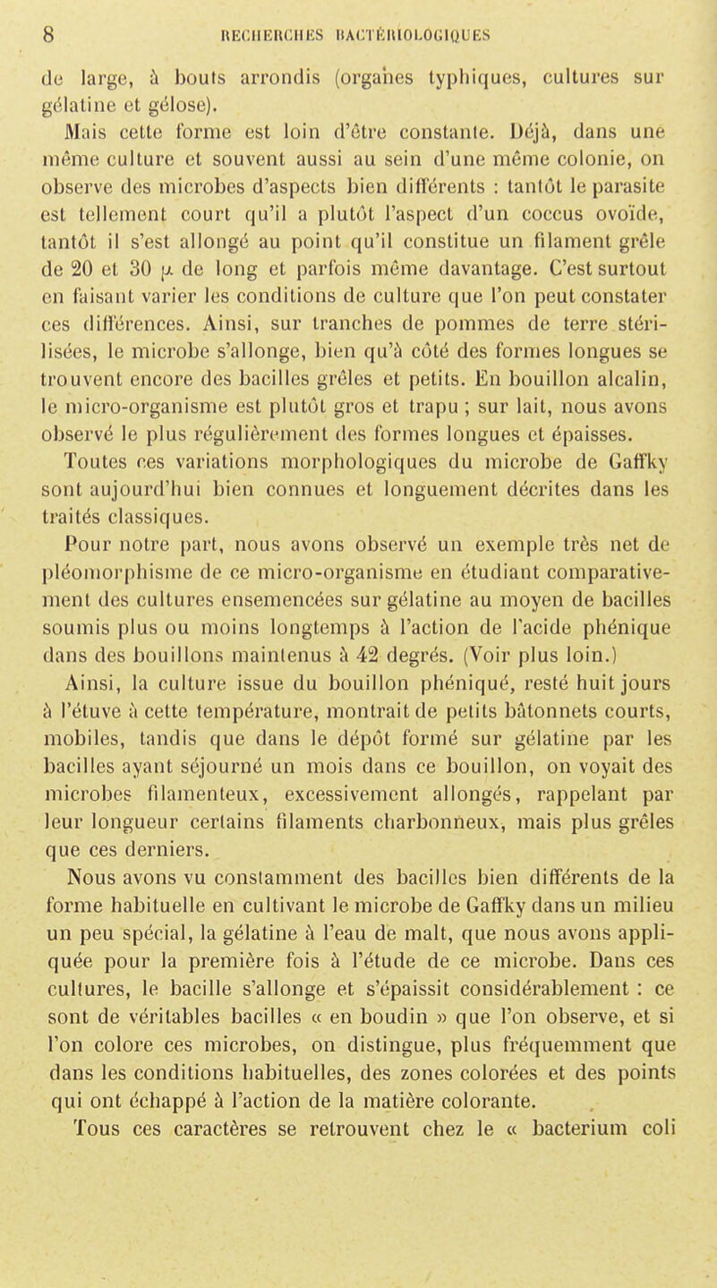 de large, à bouts arrondis (organes lyphiques, cultures sur gélatine et gélose). Mais cette forme est loin d'être constanle. Déjà, dans une même culture et souvent aussi au sein d'une même colonie, on observe des microbes d'aspects bien différents : tantôt le parasite est tellement court qu'il a plutôt l'aspect d'un coccus ovoïde, tantôt il s'est allongé au point qu'il constitue un filament grêle de 20 et 30 [jl de long et parfois même davantage. C'est surtout en faisant varier les conditions de culture que l'on peut constater ces différences. Ainsi, sur tranches de pommes de terre stéri- lisées, le microbe s'allonge, bien qu'à côté des formes longues se trouvent encore des bacilles grêles et petits. En bouillon alcalin, le micro-organisme est plutôt gros et trapu ; sur lait, nous avons observé le plus régulièrement des formes longues et épaisses. Toutes ces variations morphologiques du microbe de Gatfky sont aujourd'hui bien connues et longuement décrites dans les traités classiques. Pour notre part, nous avons observé un exemple très net de pléomorphisme de ce micro-organisme en étudiant comparative- ment des cultures ensemencées sur gélatine au moyen de bacilles soumis plus ou moins longtemps à l'action de l'acide phénique dans des bouillons mainlenus à 4i2 degrés. (Voir plus loin.) Ainsi, la culture issue du bouillon phéniqué, resté huit jours à l'étuve à cette température, montrait de petits bâtonnets courts, mobiles, tandis que dans le dépôt formé sur gélatine par les bacilles ayant séjourné un mois dans ce bouillon, on voyait des microbes filamenteux, excessivement allongés, rappelant par leur longueur certains filaments charbonneux, mais plus grêles que ces derniers. Nous avons vu constamment des bacilles bien différents de la forme habituelle en cultivant le microbe de Gaffky dans un milieu un peu spécial, la gélatine à l'eau de malt, que nous avons appli- quée pour la première fois à l'étude de ce microbe. Dans ces cultures, le bacille s'allonge et s'épaissit considérablement : ce sont de véritables bacilles « en boudin » que l'on observe, et si l'on colore ces microbes, on distingue, plus fréquemment que dans les conditions habituelles, des zones colorées et des points qui ont échappé à l'action de la matière colorante. Tous ces caractères se retrouvent chez le « bacterium coli