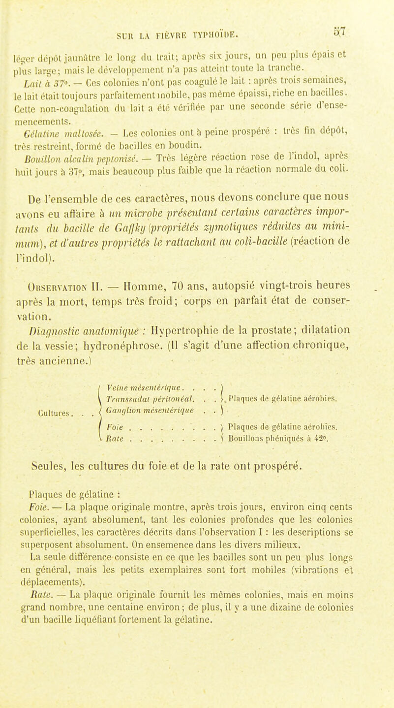 Iciîcr doiwl jaunâtre le lonç; du Irait; aprc^s six jours, un pou plus épais et plus lar^e; mais le dévelojjpenient n'a pas atteint toute la tranciie. Lait à 570. — Ces colonies n'ont pas coagulé le lait : après trois semaines, le lait était toujours parfaitement mobile, pas même épaissi, riche en bacilles. Cette non-coagulation du lait a été vérifiée par une seconde série d'ense- mencements. Gélatine maltosée. - Les colonies ont à peine prospéré : très fin dépôt, très restreint, formé de bacilles en boudin. Bouillon alcalin peptonisé. — Très légère réaction rose de l'indol, après huit jours h 37», mais beaucoup plus faible que la réaction normale du coli. De l'ensemble de ces caractères, nous devons conclure que nous avons eu affaire à un microbe présenlant certains caractères impor- tants (lu bacille de GalJkij {propriétés zymotiques réduites au mini- wii/m), et d'autres propriétés le rattachant au coli-bacille (réaction de rindol). Observation II. — Homme, 70 ans, autopsié vingt-trois heures après la mort, temps très froid ; corps en parfait état de conser- vation. Diagnostic anatomique : Hypertrophie de la prostate; dilatation de la vessie; hydronéphrose. (Il s'agit d'une affection chronique, très ancienne.) / Veiue méseiilérique. ... 1 y Transsiulai périionéal. . . >. l'iaqiies de gélatine aérobies. Cultures s i'OïKjlion méxentérique . . ) I Foie I Plaques de gélatine aérobies. \ Rate j Bouillons phéniqués à 42». Seules, les cultures du foie et de la rate ont prospéré. Plaques de gélatine : Foie. — La plaque originale montre, après trois jours, environ cinq cents colonies, ayant absolument, tant les colonies profondes que les colonies superficielles, les caractères décrits dans l'observation I : les descriptions se superposent absolument. On ensemence dans les divers milieux. La seule différence consiste en ce que les bacilles sont un peu plus longs en général, mais les petits exemplaires sont fort mobiles (vibrations et déplacements). Rate. — La plaque originale fournit les mêmes colonies, mais en moins grand nombre, une centaine environ ; de plus, il y a une dizaine de colonies d'un bacille liquéfiant fortement la gélatine.