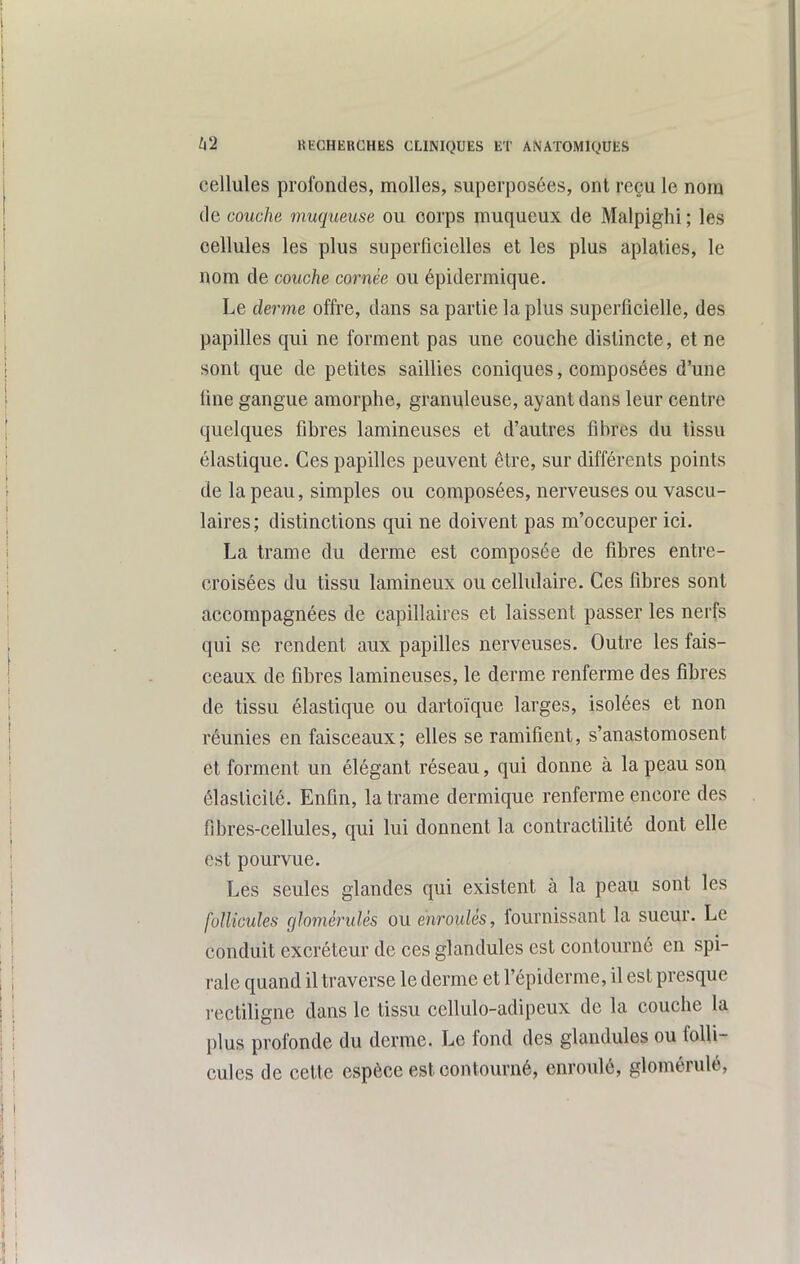 cellules profondes, molles, superposées, ont reçu le nom de couche muqueuse ou corps muqueux de Malpighi ; les cellules les plus superficielles et les plus aplaties, le nom de couche cornée ou épidermique. Le derme offre, dans sa partie la plus superficielle, des papilles qui ne forment pas une couche distincte, et ne sont que de petites saillies coniques, composées d'une fine gangue amorphe, granuleuse, ayant dans leur centre quelques fibres lamineuses et d'autres fibres du tissu élastique. Ces papilles peuvent être, sur différents points de la peau, simples ou composées, nerveuses ou vascu- laires; distinctions qui ne doivent pas m'occuper ici. La trame du derme est composée de fibres entre- croisées du tissu lamineux ou cellulaire. Ces fibres sont accompagnées de capillaires et laissent passer les nerfs qui se rendent aux papilles nerveuses. Outre les fais- ceaux de fibres lamineuses, le derme renferme des fibres de tissu élastique ou dartoïque larges, isolées et non réunies en faisceaux; elles se ramifient, s'anastomosent et forment un élégant réseau, qui donne à la peau son élasticité. Enfin, la trame dermique renferme encore des fibres-cellules, qui lui donnent la contractilité dont elle est pourvue. Les seules glandes qui existent à la peau sont les follicules glomèrulês ou enroulés, fournissant la sueur. Le conduit excréteur de ces glandules est contourné en spi- rale quand il traverse le derme et l'épiderme, il est presque rectiligne dans le tissu cellulo-adipeux de la couche la plus profonde du derme. Le fond des glandules ou folli- cules de cette espèce est contourné, enroulé, glomérulé,