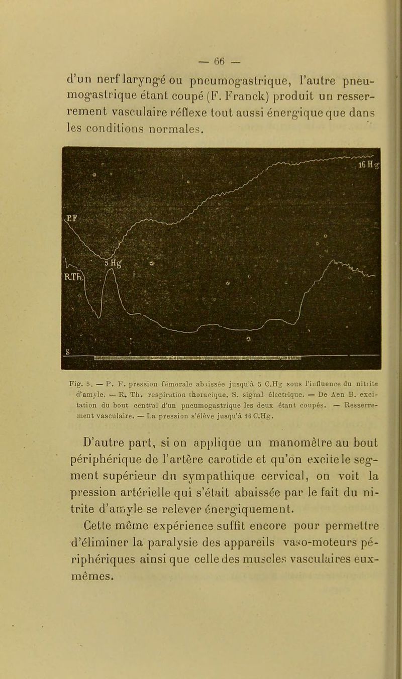 d'un nerf laryngé ou pneumogastrique, l'autre pneu- mogastrique étant coupé (F. Franck) produit un resser- rement vasculaire réflexe tout aussi énergique que dans les conditions normales. Fig. 5. — P. F. pression fémorale ab lissée jusqu'à 5 C.Hg sous l'influence du nitii'.e d'amyle. —R. Th. respiration thoiaeique. S. signal électrique. — De Aen B. exci- tation du bout central d'un pneumogastrique les deux étant coupés. — Resserre- ment vasculaire. —La pression s'élève jusqu'à 16 C.Hg. D'autre part, si on applique un manomètre au bout périphérique de l'artère carotide et qu'on excite le seg- ment supérieur du sympathique cervical, on voit la pression artérielle qui s'était abaissée par le fait du ni- trite d'amyle se relever énergiquement. Cette même expérience suffît encore pour permettre d'éliminer la paralysie des appareils vaso-moteurs pé- riphériques ainsi que celle des muscles vasculaires eux- mêmes.