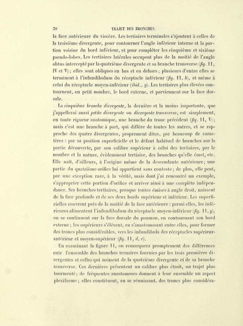 la face antérieure du viscère. Les tertiaires terminales s'ajoutent à celles de la troisième divergente, pour contourner l'angle inférieur interne et la por- tion voisine du bord inférieur, et pour compléter les cinquième et sixième pseudo-lobes. Les tertiaires latérales occupent plus de la moitié de l'angle obtus intercepté par la quatrième divergente et sa branche transverse [fig. H, IV et V) ; elles sont obliques en bas et en dehors ; plusieurs d'entre elles se terminent à l'infundibulum du réceptacle inférieur {fig. 11, h), et même à celui du réceptacle moyen-inférieur [ibid., g). Les tertiaires plus élevées con- tournent, en petit nombre, le bord externe, et parviennent sur la face dor- sale. La cinquième bronche divergente, la dernière et la moins importante, que j'appellerai aussi petite divergente ou divergente transverse, est simplement, en toute rigueur anatomique, une branche du tronc précédent [fig. 11, V) ; mais c'est une branche à part, qui diffère de toutes les autres, et se rap- proche des quatre divergentes, proprement dites, par beaucoup de carac- tères : par sa position superficielle et le défaut habituel de branches sur la partie découverte, par son calibre supérieur à celui des tertiaires, par le nombre et la nature, évidemment tertiaire, des bronches qu'elle émet, etc. Elle nait, d'ailleurs, à l'origine même de la descendante antérieure; une partie du quatrième orifice lui appartient sans conteste ; de plus, elle peut,, par une exception rare, à la vérité, mais dont j'ai rencontré un exemple, s'approprier cette portion d'orifice et arriver ainsi à une complète indépen- dance. Ses branches tertiaires, presque toutes émises à angle droit, naissent de la face profonde et de ses deux bords supérieur et inférieur. Les superfi- cielles couvrent près de la moitié de la face antérieure : parmi elles, les infé- rieures alimentent l'infundibulum du réceptacle moyen-inférieur [fig. 11, g), ou se continuent sur la face dorsale du poumon, en contournant son bord pxterne ; les supérieurs s'élèvent, en s'anastomosant entre elles, pour former des troncs plus considérables, vers les infundibula des réceptacles supérieur- antérieur et moyen-supérieur [fig. H, d, c). En examinant la figure H, on remarquera promptement des différences entr l'ensemble des bronches ternaires fournies par les trois premières di- vergentes et celles qui naissent de la quatrième divergente et de sa branche Iransverse. Ces dernières présentent un calibre plus étroit, un trajet plus tourmenté ; de fréquentes anastomoses donnent à leur ensemble un aspect plexiforme ; elles constituent, en se réunissant, des troncs plus considéra-