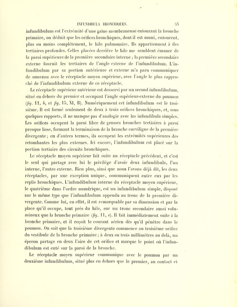 infiindibulum est l'extrémité d'une gaîne membraneuse entourant la bronche primaire, on déduit que les orifices bronchiques, dont il est muni, entourent, plus ou moins complètement, le hile pulmonaire. Ils appartiennent à des tertiaires profondes. Celles placées derrière le hile me semblent émaner de la paroi supérieure de la première secondaire interne ; la première secondaire externe fournit les tertiaires de l'angle externe de l'infundibulum. L'in- fundibulum par sa portion antérieure et externe m'a paru communiquer de nouveau avec le réceptacle moyen supérieur, avec l'angle le plus rappro- ché de l'infundibulum externe de ce réceptacle. Le réceptacle supérieur antérieur est desservi par un second infundibulum, situé en dehors du premier et occupant l'angle supérieur-externe du poumon {fig. 11, b, et ftfj. 15, XI, B). Numériquement cet infundibulum est le troi- sième. Il est formé seulement de deux à trois orifices bronchiques, et, sous quelques rapports, il ne manque pas d'analogie avec les infundibula simples. Les orifices occupent la paroi libre de grosses bronches tertiaires à paroi presque lisse, formant la terminaison de la branche curviligne de la première divergente ; en d'autres termes, ils occupent les extrémités supérieures des retombantes les plus externes. Ici encore, l'infundibulum est placé sur la portion tertiaire des circuits bronchiques. Le réceptacle moyen supérieur fait suite au réceptacle précédent, et c'est le seul qui partage avec lui le privilège d'avoir deux infundibula, l'un interne, l'autre externe. Bien plus, ainsi que nous l'avons déjà dit, les deux réceptacles, par une exception unique, communiquent entre eux par les replis bronchiques. L'infundibulum interne du réceptacle moyen supérieur, le quatrième dans l'ordre numérique, est un infundibulum simple, disposé sur le même type que l'infundibulum appendu au tronc de la première di- vergente. Comme lui, en effet, il est remarquable par sa dimension et par la place qu'il occupe, tout près du hile, sur un tronc secondaire aussi volu- mineux que la bronche primaire {fuj. 11, e). Il fait immédiatement suite à la bronche primaire, et il reçoit le courant aérien dès qu'il pénètre dans le poumon. On sait que la troisième divergente commence au troisième orifice du vestibule de la bronche primaire ; à deux ou trois millimètres au delà, un éperon partage en deux l'aire de cet orifice et marque le point où l'infun- dibulum est enté sur la paroi de la bronche. Le réceptacle moyen supérieur communique avec le poumon par un deuxième infundibulum, situé plus en dehors que le premier, au contact et