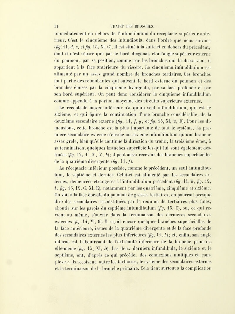 immédiatement en dehors de l'infundibulum du réceptacle supérieur anté- rieur. C'est le cinquième des infundibula, dans l'ordre que nous suivons [ fig. 11, c, et fuj. 15, XI, C). Il est situé à la suite et en dehors du précédent, dont il n'est séparé que par le bord diagonal, et à l'angle supérieur externe du poumon; par sa position, comme par les bronches qui le desservent, il appartient à la face antérieure du viscère. Le cinquième infundibulum est alimenté par un assez grand nombre de bronches tertiaires. Ces bronches font partie des retombantes qui suivent le bord externe du poumon et des branches émises par la cinquième divergente, par sa face profonde et par son bord supérieur. On peut donc considérer le cinquième infundibulum comme appendu à la portion moyenne des circuits supérieurs externes. Le réceptacle moyen inférieur n'a qu'un seul infundibulum, qui est le sixième, et qui figure la continuation d'une bronche considérable, de la deuxième secondaire externe [fuj. 11, /, ^; et fig. 15, XI, 2, D). Pour les di- mensions, cette bronche est la plus importante de tout le système. La pre- mière secondaire externe n'envoie au sixième infundibulum qu'une branche assez grêle, bien qu'elle continue la direction du tronc ; la troisième émet, à sa terminaison, quelques branches superficielles qui lui sont également des- tinées {fig. 12, 1', 2', 5', /c); il peut aussi recevoir des branches superficielles de la quatrième divergente [fig. 11, /). Le réceptacle inférieur possède, comme le précédent, un seul infundibu- lum, le septième et dernier. Celui-ci est alimenté par les secondaires ex- ternes, demeurées étrangères à l'infundibulum précédent {fig. 11, h \ fig. 12, /; fig. 15, IX, C, XI, E), notamment par les quatrième, cinquième et sixième. On voit à la face dorsale du poumon de grosses tertiaires, on pourrait presque dire des secondaires reconstituées par la réunion de tertiaires plus fines, aboutir sur les parois du septième infundibulum {fig. 13, C), ou, ce qui re- vient au même, s'ouvrir dans la terminaison des dernières secondaires externes {fig. 14, VI, 9). Il reçoit encore quelques branches superficielles de la face antérieure, issues de la quatrième divergente et de la face profonde des secondaires externes les plus inférieures {fig. 11, h); et, enfin, son angle interne est l'aboutissant de l'extrémité inférieure de la bronche primaire elle-même {fig. 15, XI, Jd). Les deux derniers infundibula, le sixième et le septième, ont, d'après ce qui précède, des connexions multiples et com- plexes ; ils reçoivent, outre les tertiaires, le système des secondaires externes et la terminaison de la bronche primaire. Cela tient surtout à la complication