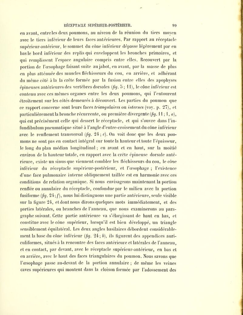 en avant, entreles deux poumons, au niveau de la réunion du tiers moyen avec le tiers inférieur de leurs faces antérieures. Par rapport au réceptacle supérieur-antérieur, le sommet du cône inférieur dépasse légèrement par en bas le bord inférieur des replis qui enveloppent les bronches primaires, et qui remplissent l'espace angulaire compris entre elles. Recouvert par la portion de l'œsophage faisant suite au jabot, en avant, parla masse de plus en plus atténuée des muscles fléchisseurs du cou, en arrière, et adhérant du même côté à la la crête formée par la fusion entre elles des apophyses épineuses antérieures des vertèbres dorsales [fir/. 5 ; 11), le cône inférieur est contenu avec ces mêmes organes entre les deux poumons, qui l'entourent étroitement sur les côtés demeurés à découvert. Les parties du poumon que ce rapport concerne sont leurs faces triangiilaires ou internes (voy. p. 27), et particulièrement la bronche récurrente, ou première divergente [fig. 11 ; 1, «), qui est précisément celle qui dessert le réceptacle, et qui s'ouvre dans l'in- fundibulum pneumatique situé à l'angle d'entre-croisement du cône inférieur avec le renflement transversal [fig. 24; c). On voit donc que les deux pou- mons ne sont pas en contact intégral sur toute la hauteur et toute l'épaisseur, le long du plan médian longitudinal ; en avant et en haut, sur la moitié environ de la hauteur totale, en rapport avec la crête épineuse dorsale anté- rieure, existe un sinus que viennent combler les fléchisseurs du cou, le cône inférieur du réceptacle supérieur-postérieur, et l'œsophage ; l'existence d'une face pulmonaire interne obliquement taillée est en harmonie avec ces conditions de relation organique. Si nous envisageons maintenant la portion renflée ou annulaire du réceptacle, confondue par le milieu avec la portion fusiforme [f^çj. 24;/), nous lui distinguons une partie antérieure, seule visible sur la figure 24, et dont nous dirons quelques mots immédiatement, et des parties latérales, ou branches de l'anneau, que nous examinerons au para- graphe suivant. Cette partie antérieure va s'élargissant de haut en bas, et constitue avec le cône supérieur, lorsqu'il est bien développé, un triangle sensiblement équilatéral. Les deux angles basilaires débordent considérable- ment la base du cône inférieur [jig. 24 ; h), ils figurent des appendices auri- culiformes, situés îi la rencontre des faces antérieure et latérales de l'anneau, et en contact, par devant, avec le réceptacle supérieur-antérieur, en bas et en arrière, avec le haut des faces triangulaires du poumon. Nous savons que l'œsophage passe au-devant de la portion annulaire ; de même les veines caves supérieures qui montent dans la cloison formée par l'adossement des