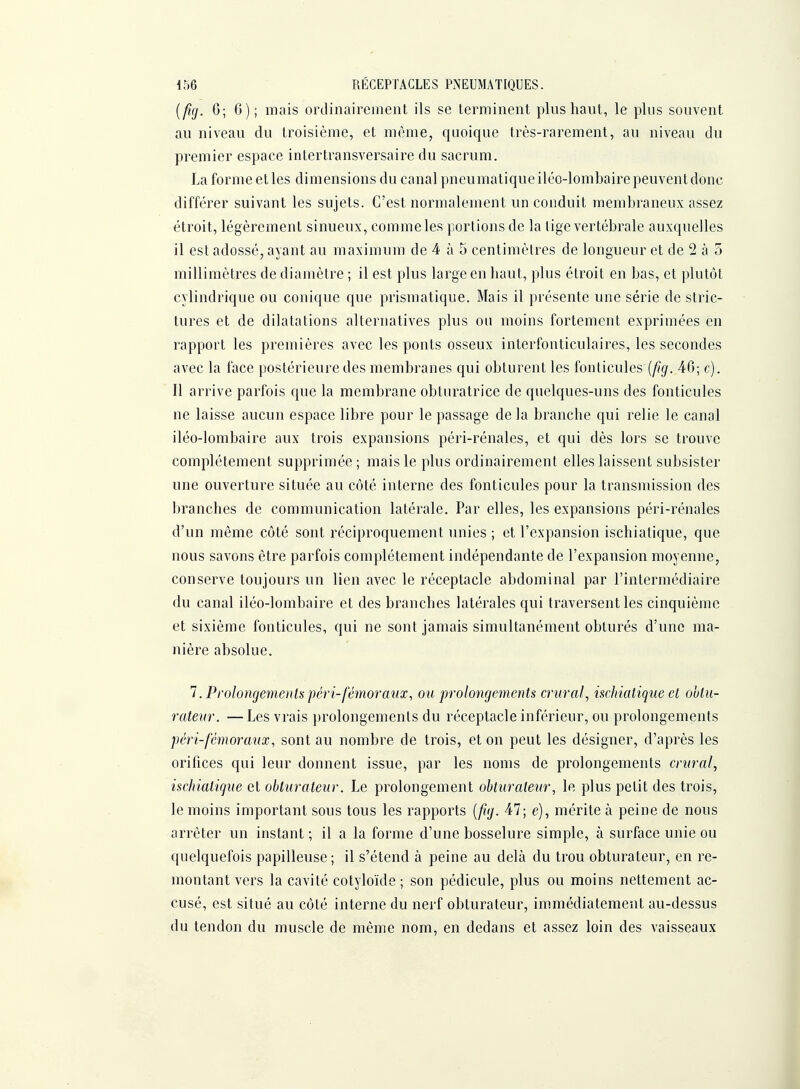 [fig. 6; 6); mais ordinairement ils se terminent plus haut, le plus souvent au niveau du troisième, et même, quoique très-rarement, au niveau du premier espace intertransversaire du sacrum. La forme et les dimensions du canal pneumatique iléo-lombaire peuvent donc différer suivant les sujets. C'est normalement un conduit membraneux assez étroit, légèrement sinueux, comme les portions de la tige vertébrale auxquelles il est adossé, ayant au maximum de 4 à 5 centimètres de longueur et de 2 à 5 millimètres de diamètre ; il est plus large en haut, plus étroit en bas, et plutôt cylindrique ou conique que prismatique. Mais il présente une série de stric- tures et de dilatations alternatives plus ou moins fortement exprimées en rapport les premières avec les ponts osseux interfonticulaires, les secondes avec la face postérieure des membranes qui obturent les fonticules {fig. 46; c). Il arrive parfois que la membrane obturatrice de quelques-uns des fonticules ne laisse aucun espace libre pour le passage de la branche qui relie le canal iléo-lombaire aux trois expansions péri-rénales, et qui dès lors se trouve complètement supprimée ; mais le plus ordinairement elles laissent subsister une ouverture située au côté interne des fonticules pour la transmission des branches de communication latérale. Par elles, les expansions péri-rénales d'un même côté sont réciproquement unies ; et l'expansion ischiatique, que nous savons être parfois complètement indépendante de l'expansion moyenne, conserve toujours un lien avec le réceptacle abdominal par l'intermédiaire du canal iléo-lombaire et des branches latérales qui traversent les cinquième et sixième fonticules, qui ne sont jamais simultanément obturés d'une ma- nière absolue. 1. Prolongements péri-fémoraux, ou prolongements crural, ischiatique et obtu- rateur. — Les vrais prolongements du réceptacle inférieur, ou prolongements péri-fémoraux, sont au nombre de trois, et on peut les désigner, d'après les orifices qui leur donnent issue, par les noms de prolongements crural, ischiatique et obturateur. Le prolongement obturateur, le plus petit des trois, le moins important sous tous les rapports [fuj. 47; e), mérite à peine de nous arrêter un instant ; il a la forme d'une bosselure simple, à surface unie ou quelquefois papilleuse ; il s'étend à peine au delà du trou obturateur, en re- montant vers la cavité cotyloïde ; son pédicule, plus ou moins nettement ac- cusé, est situé au côté interne du nerf obturateur, immédiatement au-dessus du tendon du muscle de même nom, en dedans et assez loin des vaisseaux