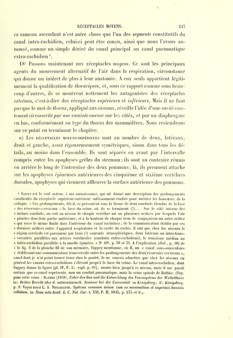 ce rameau ascendant n'est autre chose que l'un des segmenta constitutifs du canal intra-rachidien, celui-ci peut être conçu, ainsi que nous l'avons au- noncé, comme un simple dérivé du canal principal ou canal pneumatique extra-rachidien \ 18° Passons maintenant aux réceptacles moyens. Ce sont les principaux agents du mouvement alternatif de l'air dans la respiration, circonstance qui donne un intérêt de plus à leur anatomie. A eux seuls appartient légiti- mement la qualification de thoraciques, et, sous ce ra})port comme sous beau- coup d'autres, ils se montrent nettement les antagonistes des réceptacles extrêmes, c'est-à-dire des réceptacles supérieiws et inférieurs. Mais il ne faut pas que le mot de thorax, appliqué aux oiseaux, réveille l'idée d'une carilc exac- tement circonscrite par une enceinte osseuse sur les côtés, et par un diaphragme en bas, conformément au type du thorax des mammifères. Nous reviendrons sur ce point en terminant le chapitre. a) Les RÉCEPTACLES MOYENS-SUPÉRIEURS sout au uonibrc de deux, latéraux, droit et gauche, assez rigoureusement symétriques, sinon dans tous les dé- tails, au moins dans l'ensemble. Ils sont séparés en avant par l'intervalle compris entre les apophyses grêles du sternum; ils sont au contraire réunis en arrière le long de l'interstice des deux poumons; là, ils prennent attache sur les apophyses épineuses antérieures des cinquième et sixième vertèbres dorsales, apophyses qui viennent aflleurer la surface antérieure des poumons. ' Sappey est le seul auteur, à ma connaissauce, qui ait donné une description des prolongements canaliculés du réceptacle supérieur-antérieur suffisamment étudiée pour mériter les honneurs de la critique. « Ces prolongements, dit-il, se présentent sous la forme de deux conduits étendus de la base « des réservoirs cervicaux ;i la base du crâne, où ils se terminent (?) Sur le côté interne des « mêmes conduits, on voit au niveau de chaque vertèbre un ou plusieurs orifices par lesquels l'air « pénètre dans leur partie antérieure, et à la hauteur de chaque trou de conjugaison un autre orifice « qui verse le même fluide dans l'intérieur du canal racliidien ; de la communication établie par ces « derniers orifices entre l'appareil respiratoire et la cavité du rachis, il suit que chez les oiseaux la « région cervicale est parcourue par trois (!) courants atmospiiériques, deux latéraux ou infra-trans- « versaires parallèles aux artères vertébrales (conduits extra-rachidiens), le troisième médian ou « intra-rachidien parallèle à la moelle épinière. » N° 49-, p. 30 et 31. A l'explication (ibkl., p. UO) do « la fig. 2 de la planche III de son mémoire, Sappey mentionne, en B, un « canal sous-inusculaire « établissant une communication transversale entre les prolongements des deux[réservoirs cervicaux », canal dont je n'ai point trouvé trace chez le poulet. Je ne saurais admettre que chez les oiseaux en général les canaux extra-rachidiens s'élèvent jusqu'à la base du crâne. Le canal intra-rachidien, dont Sappey donne la figure (pl. IV, F. 2; expl. p. 91), monte bien jusqu'à ce niveau, mais il me paraît: certain que ce canal représente, non un conduit pneumatique, mais la veine spinale de Rathke. (Voy. pour cette veine : Rathke (1858), Ueber den Bau und die Entwicklung des Venensijstems der WirbcUhierc in: Dritter Bericht ûber d. natunvissensch. Seminar bei der Universitût zu Kônigsberg ; 4°, Kônigsberg, p. 9. Voyez aussi L. A. Neugebauef, Systcma venosurn avium cum eo mammalium et imprimis liom'mis xollatum, in Nova actaAcad. L. C. Nat. Cur. t. XXI, P. II, 1845, p. 575 et fj.;.