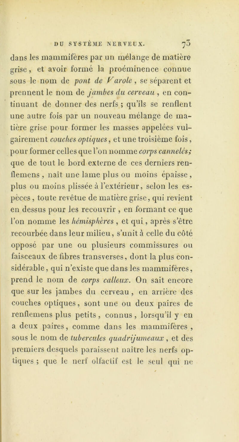 lô dans les mammifères par un mélange de matière grise, et avoir formé la proéminence connue sous le nom de pont de yarole , se séparent et prennent le nom de jambes du cerveau , en con- tinuant de donner des nerfs ; qu’ils se renflent une autre fois par un nouveau mélange de ma- tière grise pour former les masses appelées vul- gairement couches optif/ues, et une troisième fois, pour former celles que l’on nomme corps cannelés; que de tout le bord externe de ces derniers ren- flemens , naît une lame plus ou moins épaisse, plus ou moins plissée à l’extérieur, selon les es- pèces , toute revêtue de matière grise, qui revient en dessus pour les recouvrir , en formant ce que l’on nomme les hémisphères, et qui, après s’être recourbée dans leur milieu, s’unit à celle du côté opposé par une ou plusieurs commissures ou faisceaux de fibres transverses, dont la plus con- sidérable, qui n’existe que dans les mammifères, prend le nom de corps calleux. On sait encore que sur les jambes du cerveau , en arrière des couches optiques, sont une ou deux paires de renflemens plus petits, connus, lorsqu’il y en a deux paires, comme dans les mammifères , sous le nom de tubercules quadrij unie aux , et des premiers desquels paraissent naître les nerfs op- tiques ; que le nerf olfactif est le seul qui ne