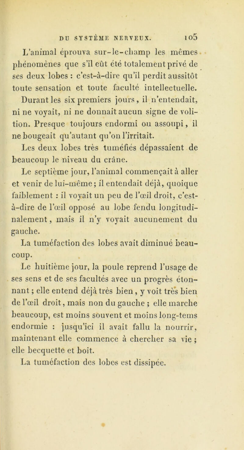 L’animal éprouva sur-le-champ les mêmes phénomènes que s’il eût été totalement privé de ses deux lobes : c’est-à-dire qu’il perdit aussitôt toute sensation et toute faculté intellectuelle. Durant les six premiers jours, il n’entendait, ni ne voyait, ni ne donnait aucun signe de voli- tion. Presque toujours endormi ou assoupi, il ne bougeait qu’autant qu’on l’irritait. Les deux lobes très tuméfiés dépassaient de beaucoup le niveau du crâne. Le septième jour, l’animal commençait à aller et venir de lui-même ; il entendait déjà, quoique faiblement : il voyait un peu de l’œil droit, c’est- à-dire de l’œil opposé au lobe fendu longitudi- nalement , mais il n’v voyait aucunement du gauche. La tuméfaction des lobes avait diminué beau- coup. Le huitième jour, la poule reprend l’usage de ses sens et de ses facultés avec un progrès éton- nant ; elle entend déjà très bien , y voit très bien de l’œil droit, mais non du gauche ; elle marche beaucoup, est moins souvent et moins long-tems endormie : jusqu’ici il avait fallu la nourrir, maintenant elle commence à chercher sa vie ; elle becquette et boit. La tuméfaction des lobc-s est dissipée.